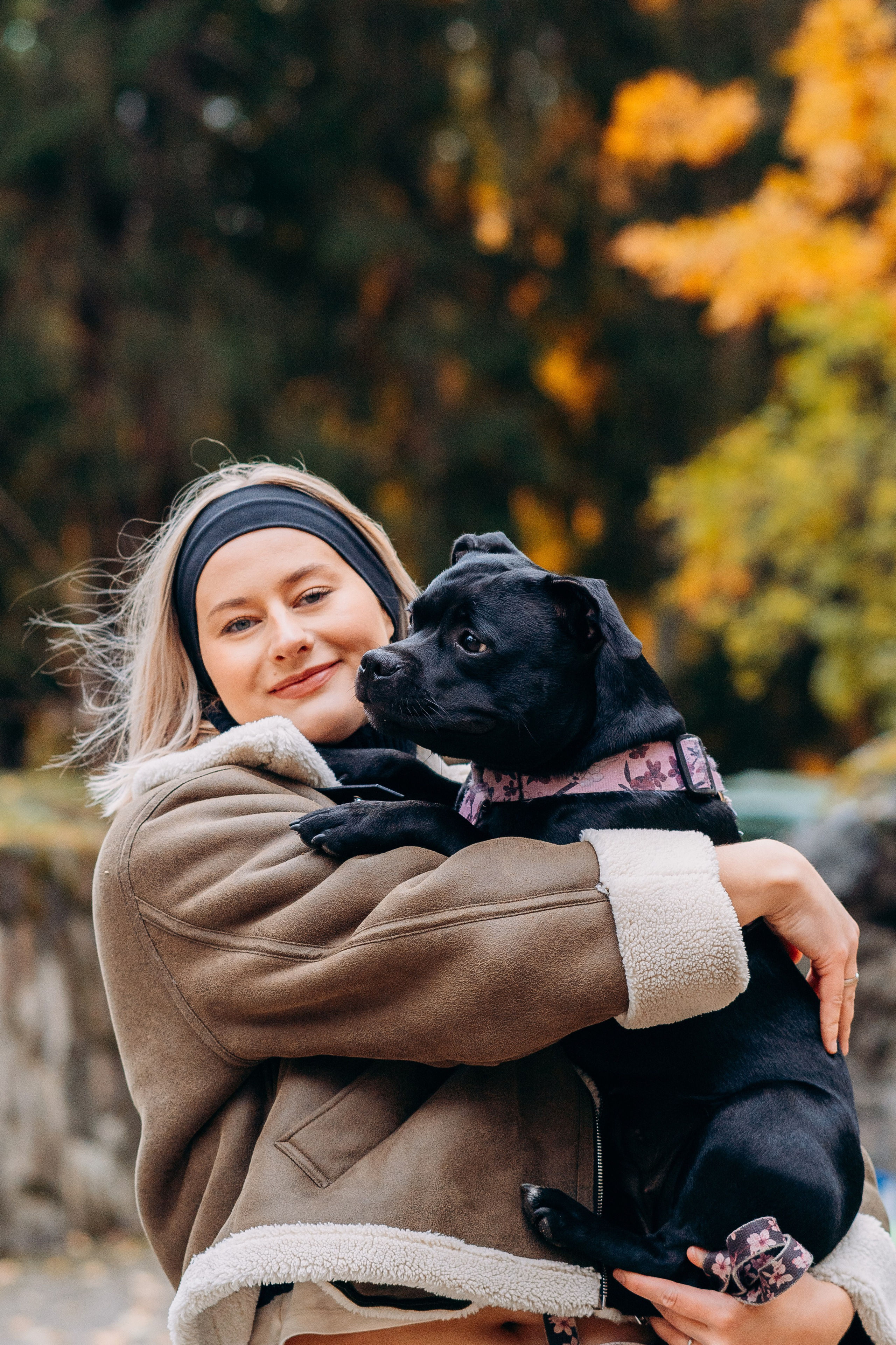 Staffordshire Bull Terriers Meetup. Kat Laisaar — Pet photographer in Tallinn