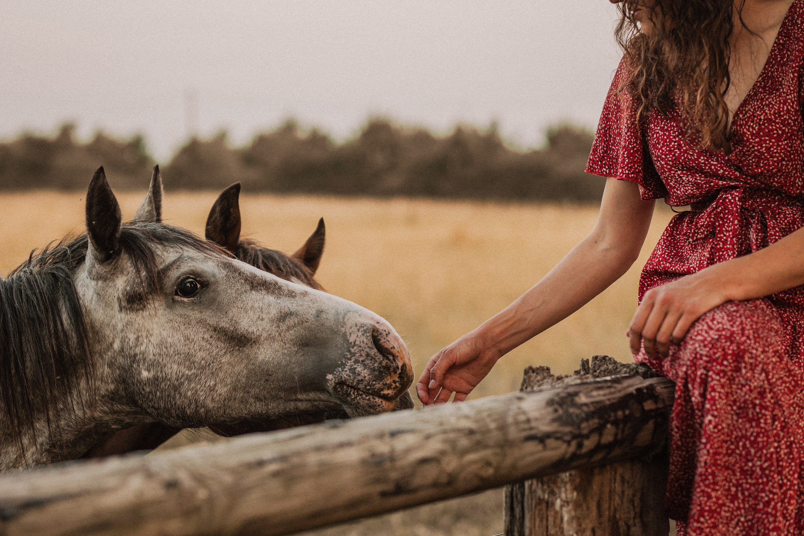 Annah Louwagie — Lifestyle photographer for couples, families & brands | France & worldwide