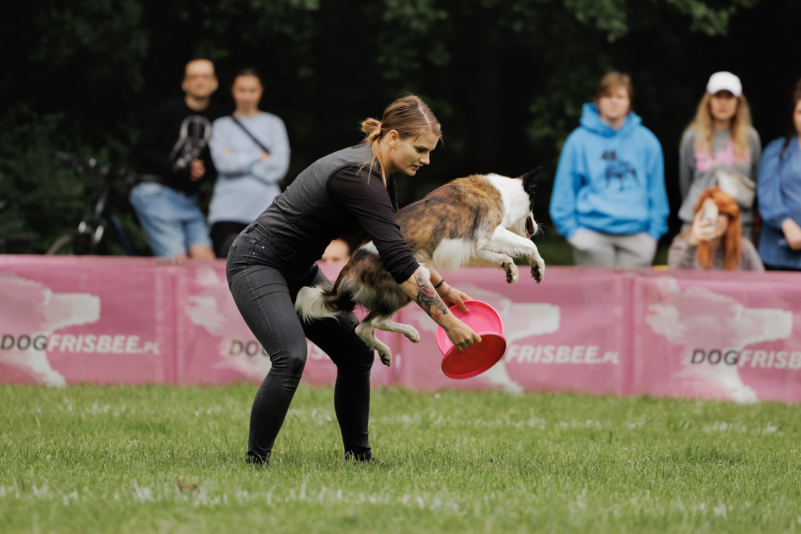 Latające psy, Wrocław'25. Kaja | fotograf psów we Wrocławiu