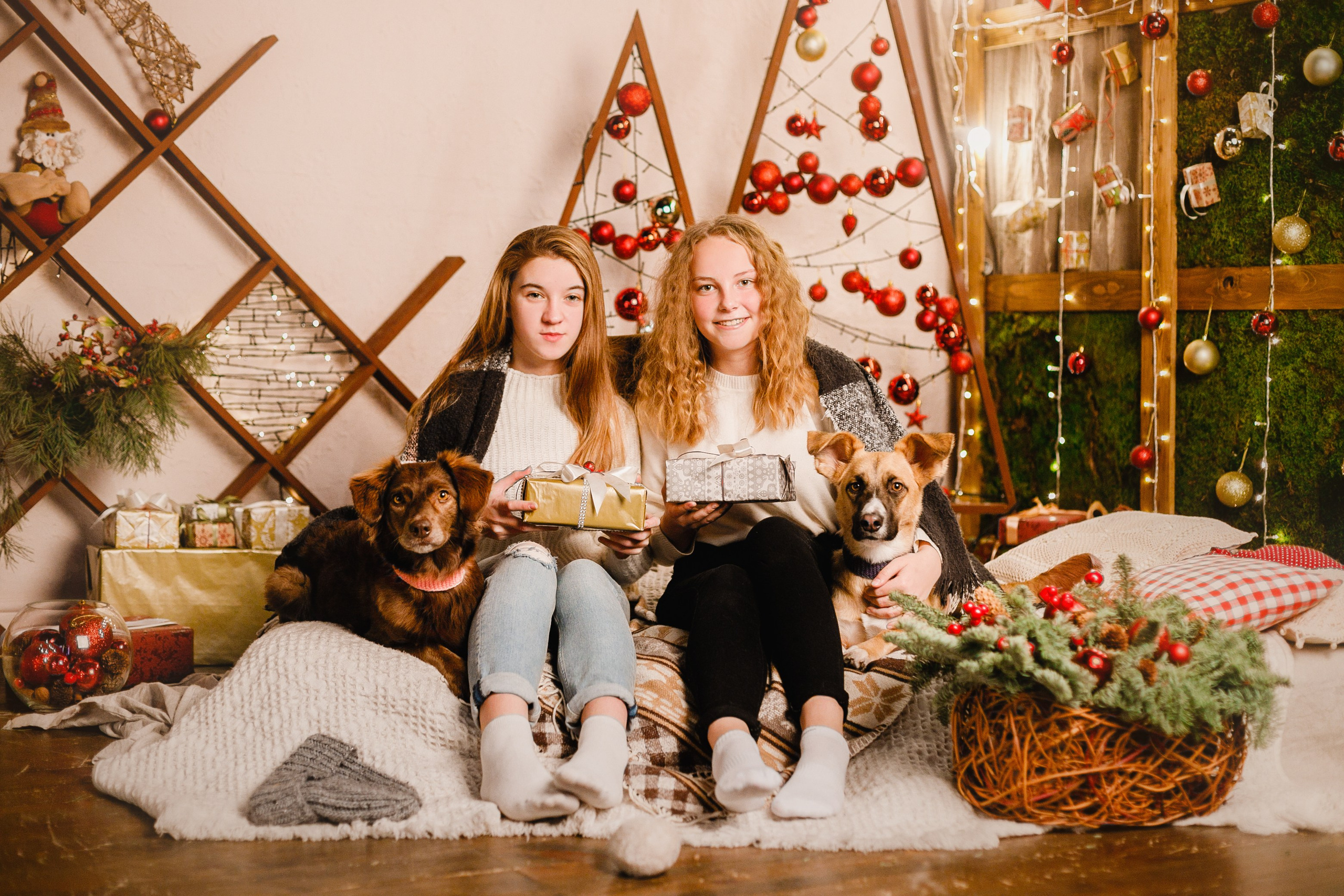 Lana, Edgar and Mucha | new year studio. Kaja | fotograf psów we Wrocławiu