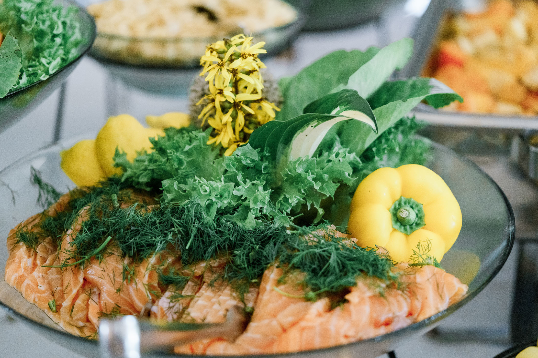 Hääkuvaus Karjalohja