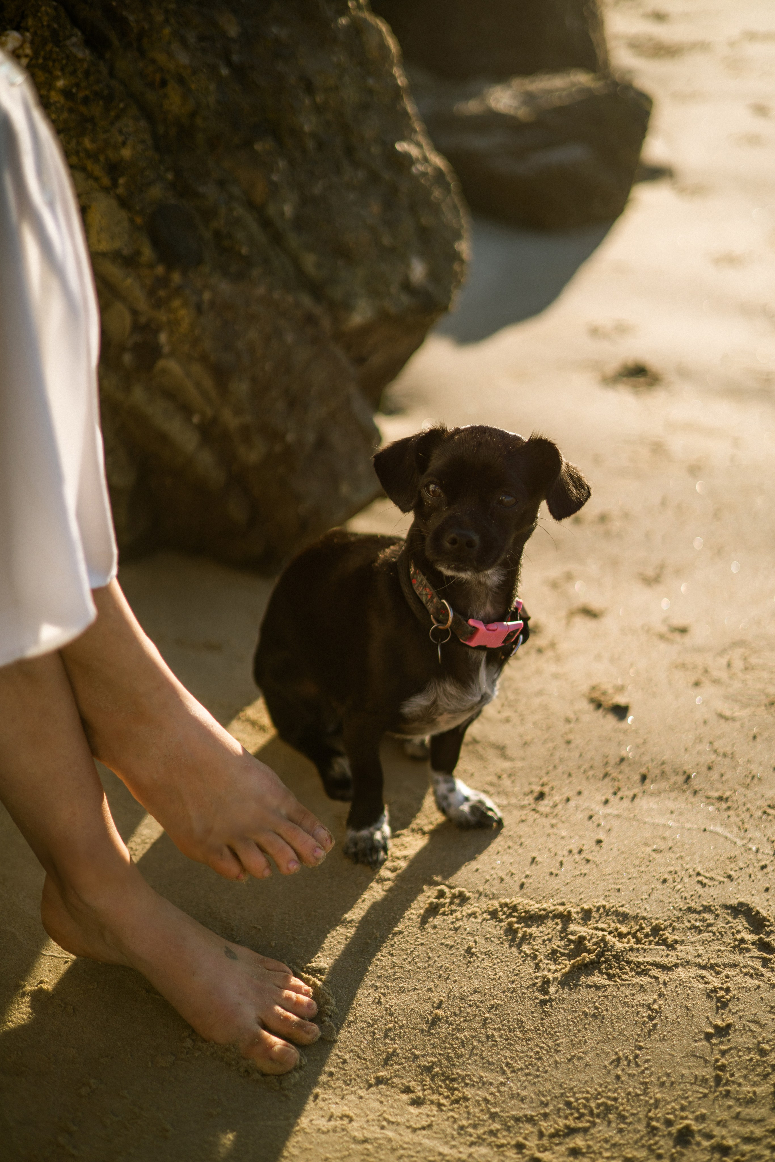 Gillian, Baby & Delilah | Venice Beach. Photographer in Los Angeles. Julia Ishmuratova