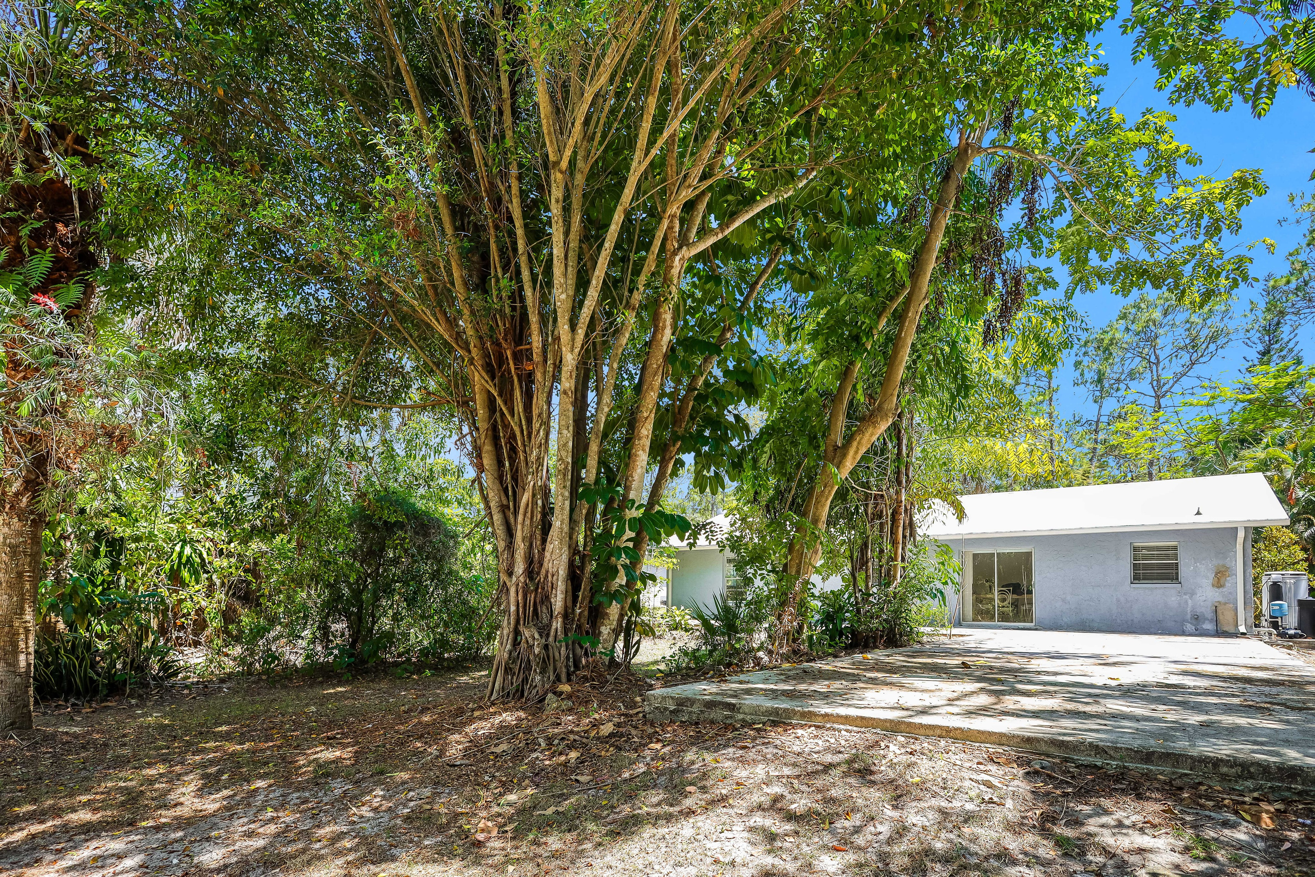 Sample D. Out and About 239