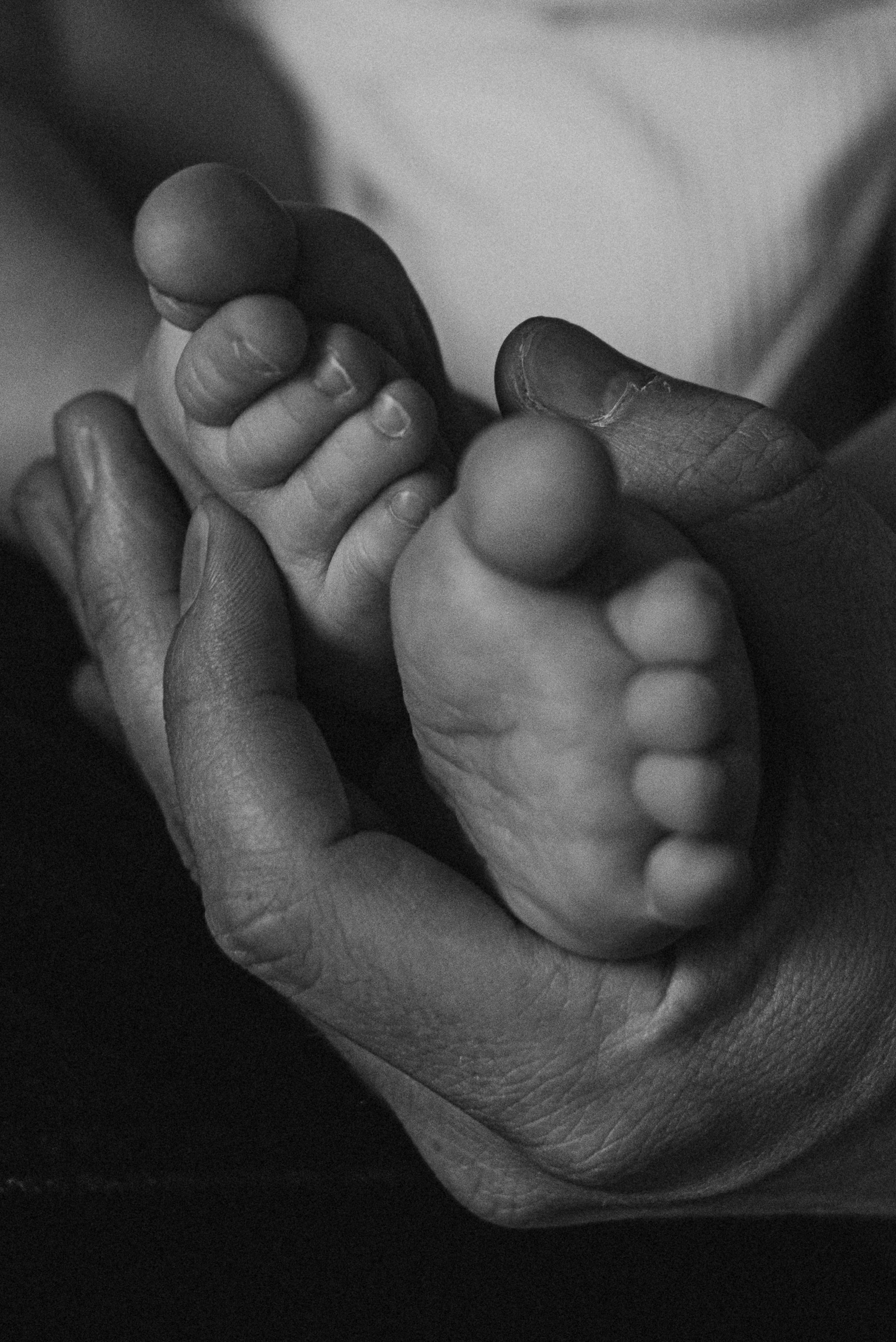 *. Wedding and family photographer San Diego