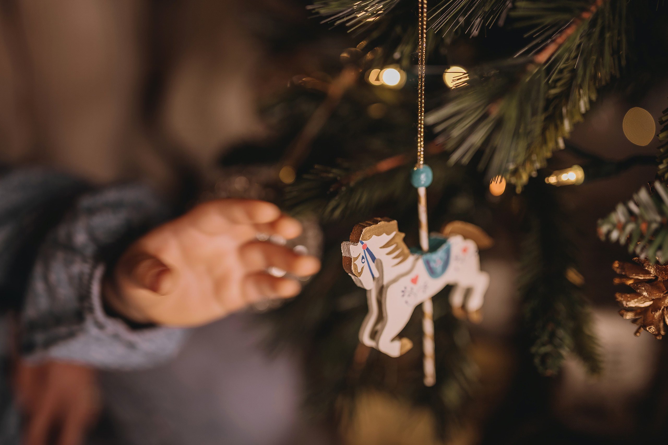 12.08.2025 Christmas Photoshoot. Wedding family event photographer in Chicago Nick Yushevich