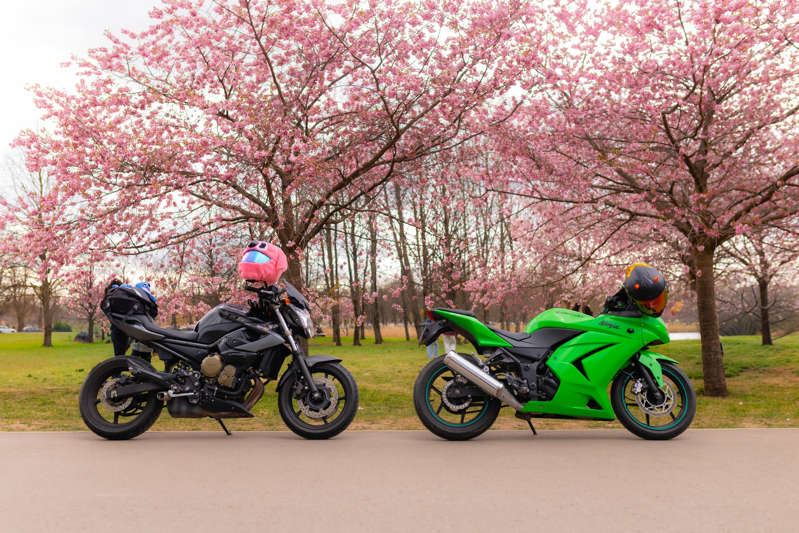 Fotogrāfe Zane Stulpiņa