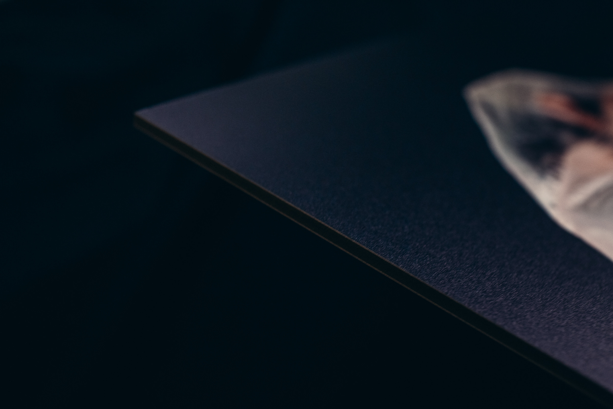 Flying against all odds. Lolly Shine. Contemporary digital artist