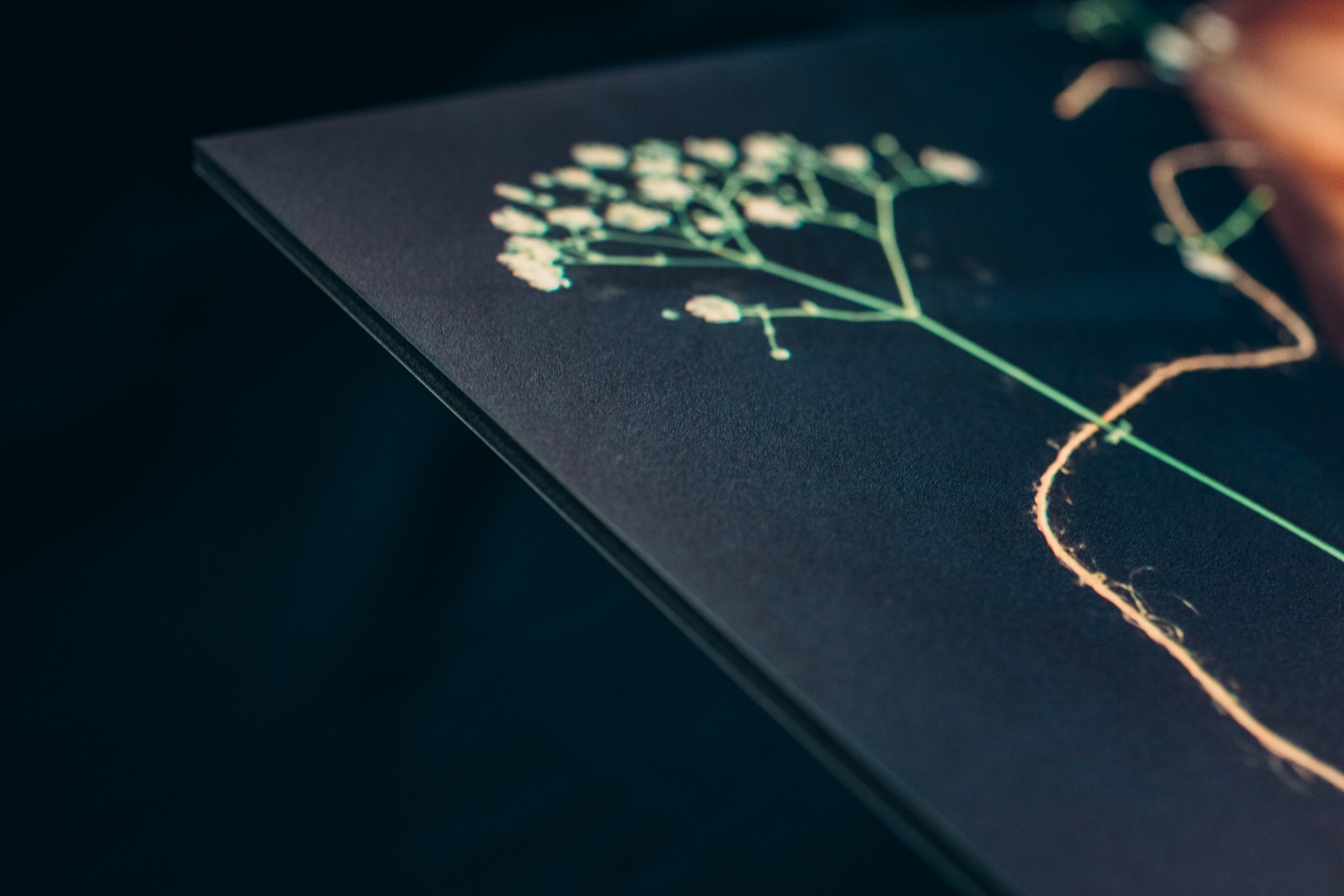 Vulnerability. Lolly Shine. Contemporary digital artist