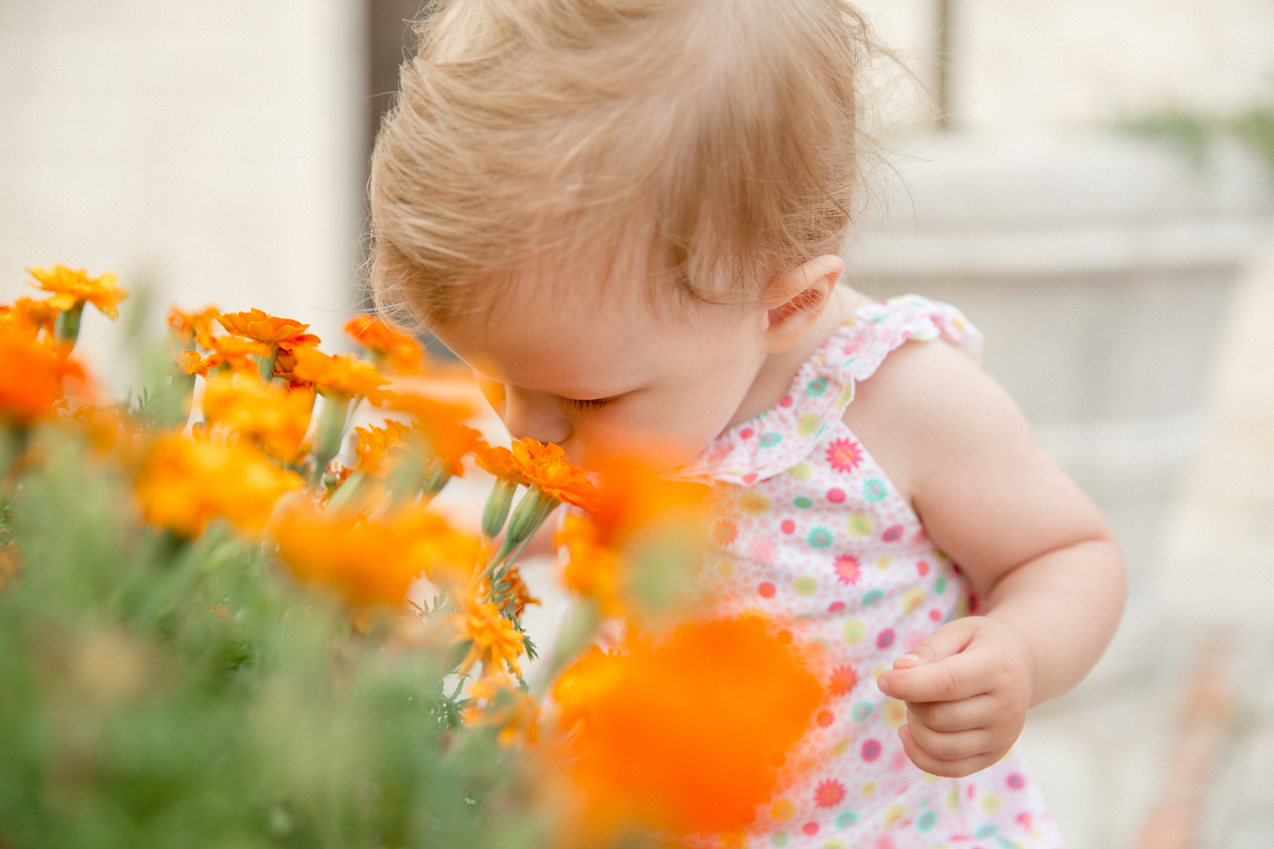 Family photo session in Perast Montenegro