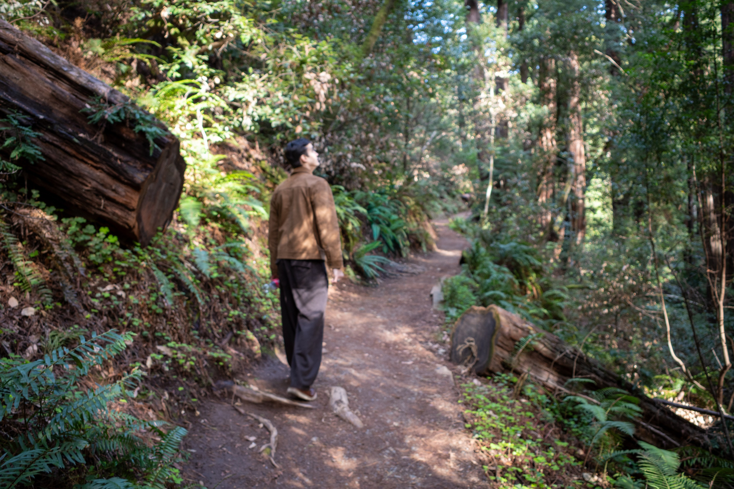 San Francisco. Aleks.photo | Book a photoshoot
