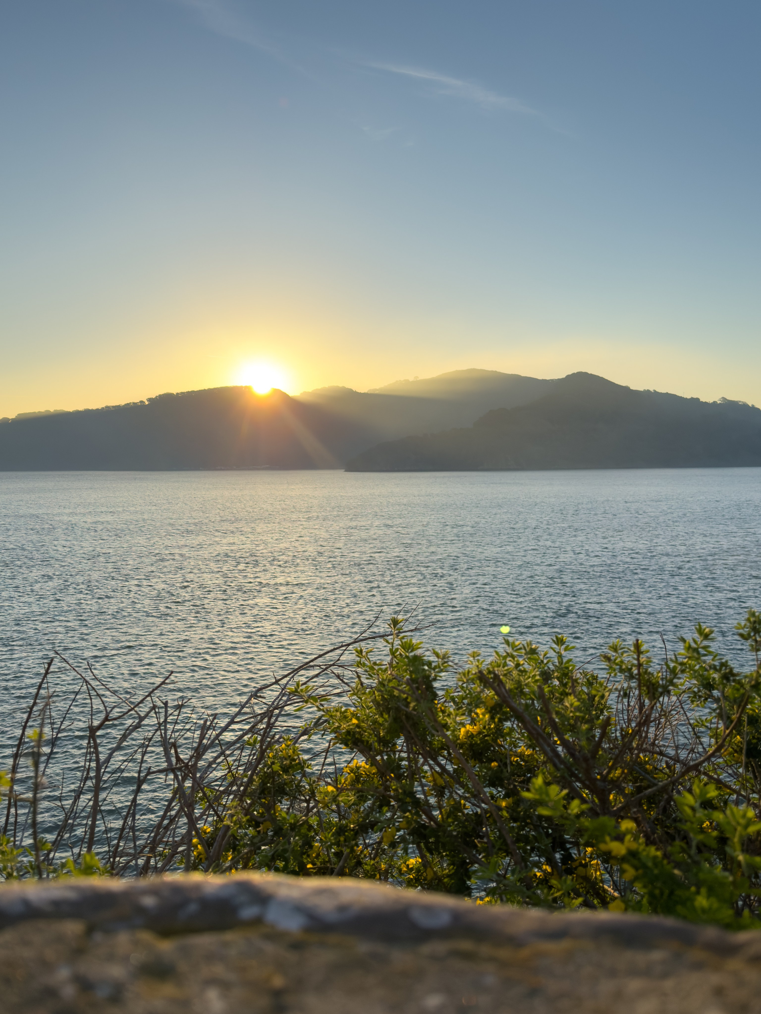 San Francisco. Aleks.photo | Book a photoshoot