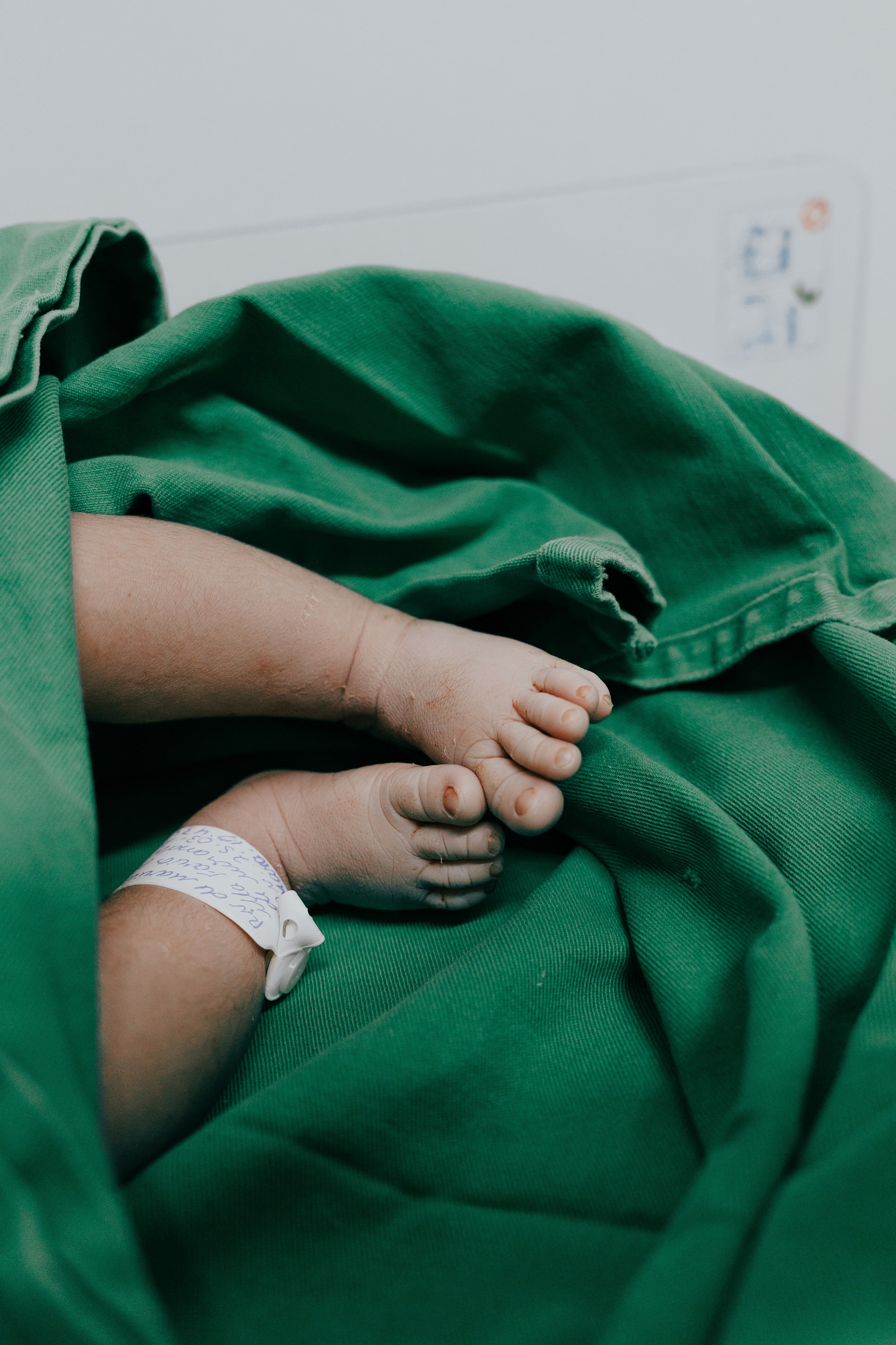 Nascimento de Vicente