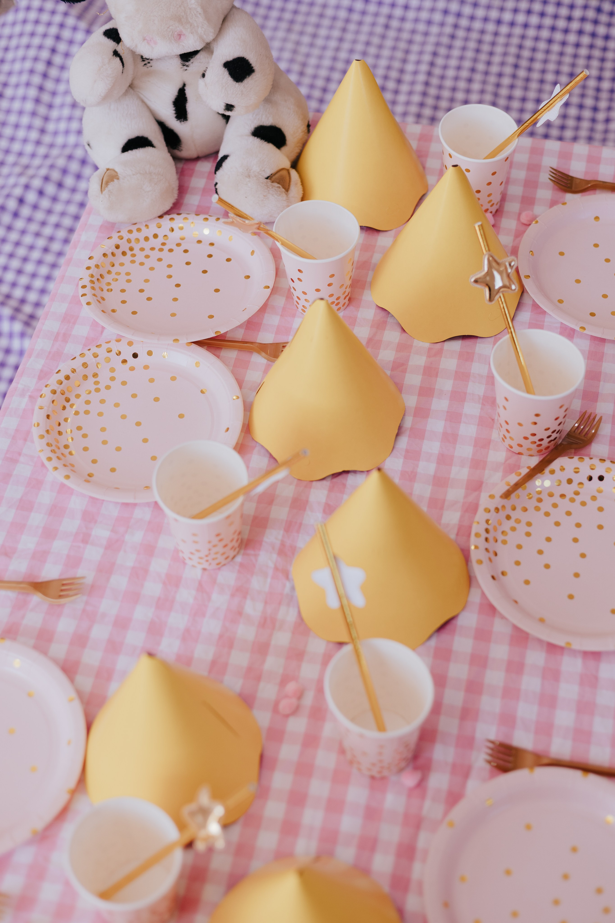 Cecília 2 anos. Fotografia de família e parto