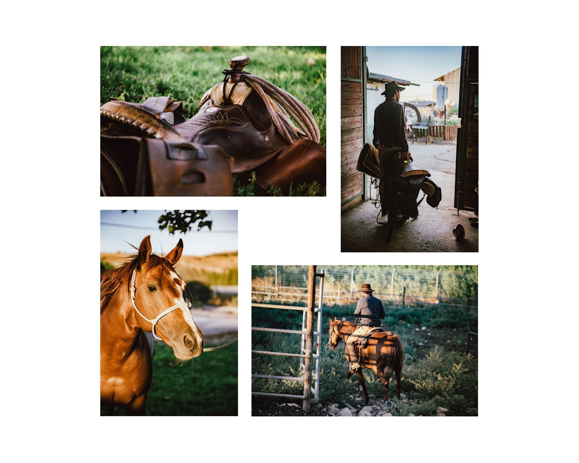 Tom — Cowboy. Portrait photografer in Montenegro