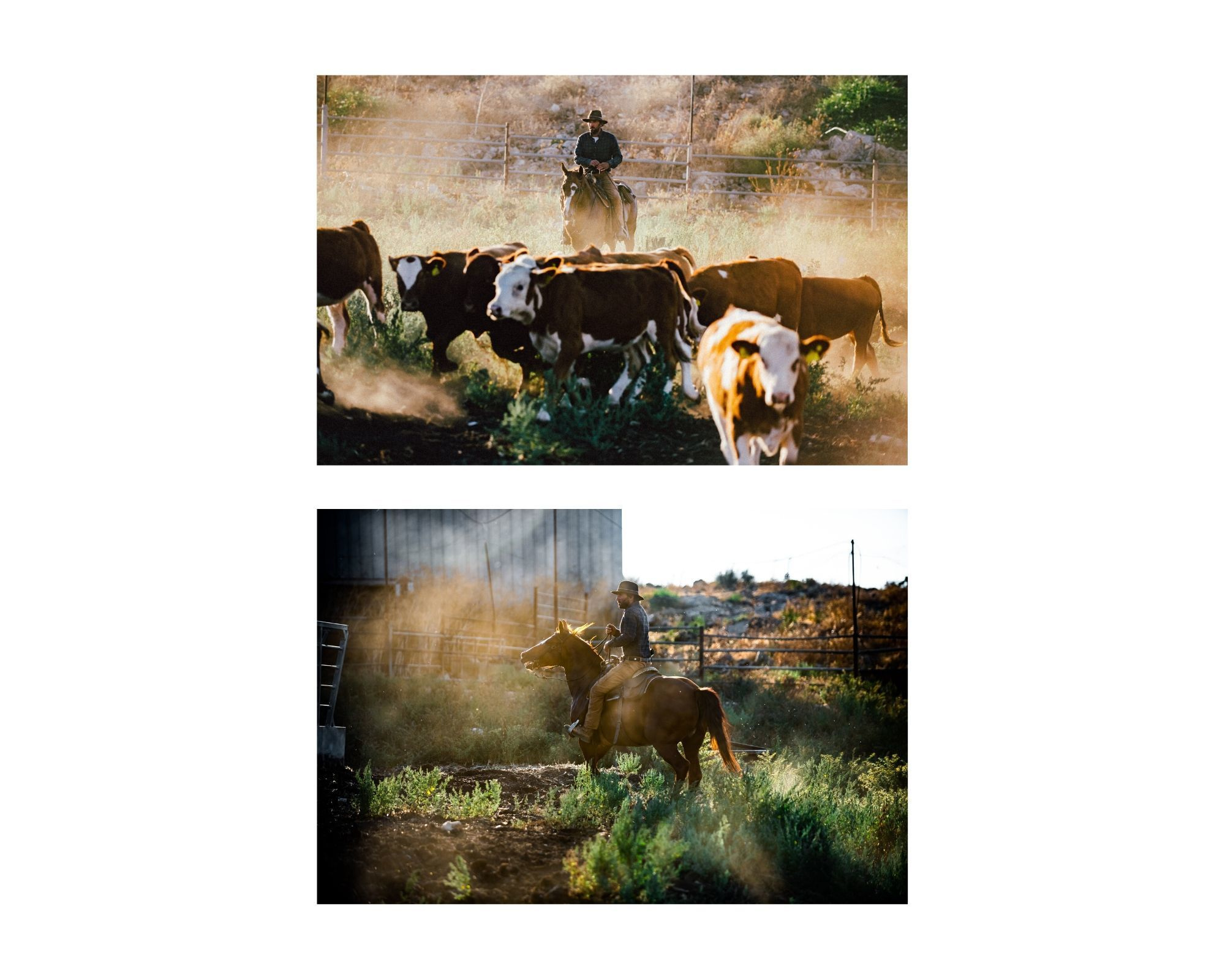 Tom — Cowboy. Portrait photografer in Montenegro