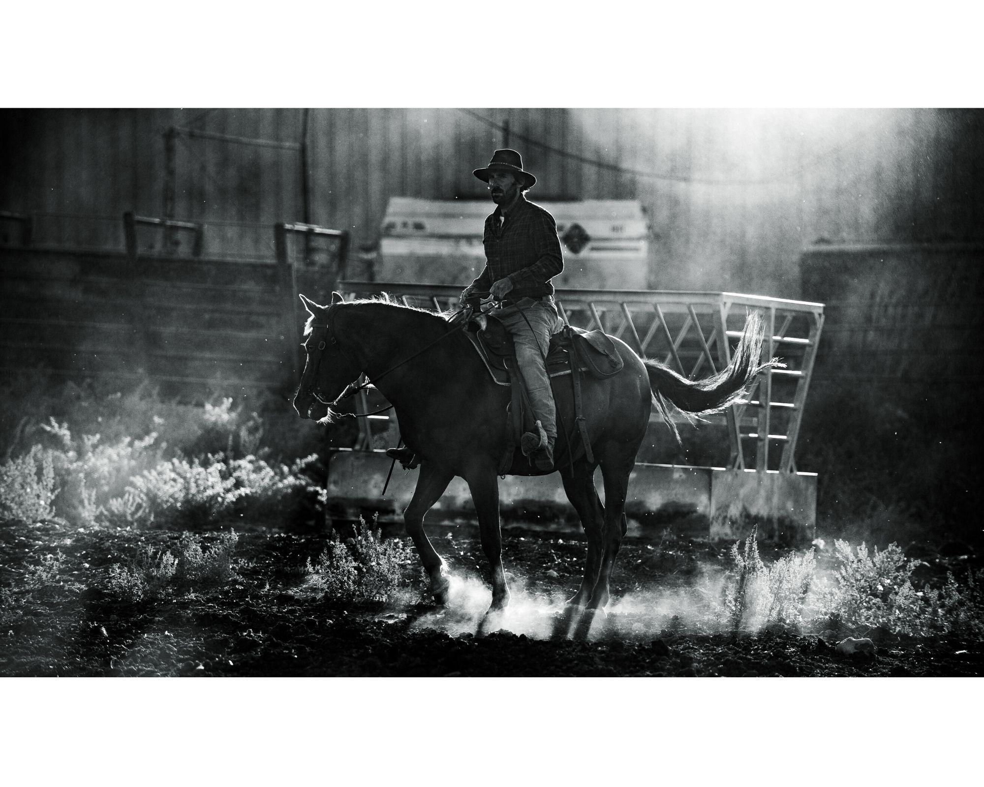 Tom — Cowboy. Portrait photografer in Montenegro