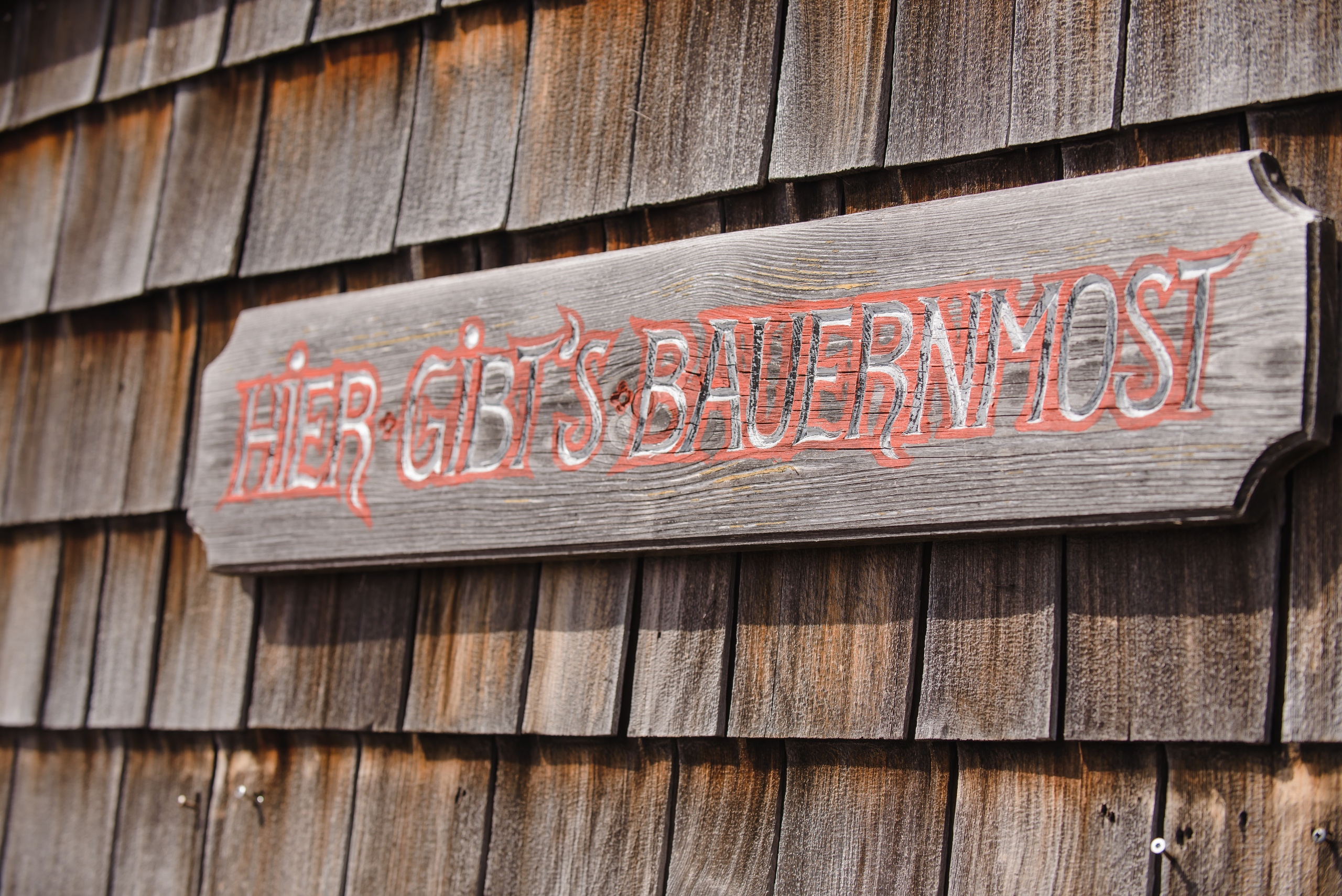 Sunny day — Austria. Portrait photografer in Montenegro