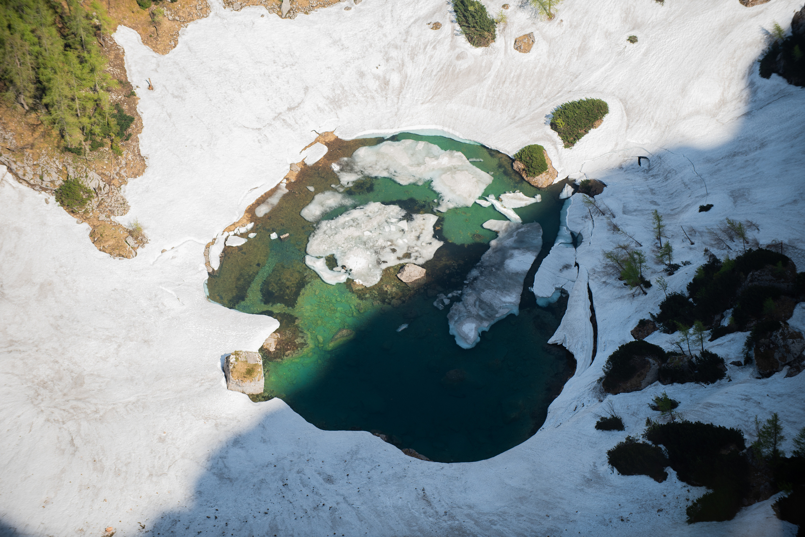 Sunny day — Austria. Portrait photografer in Montenegro