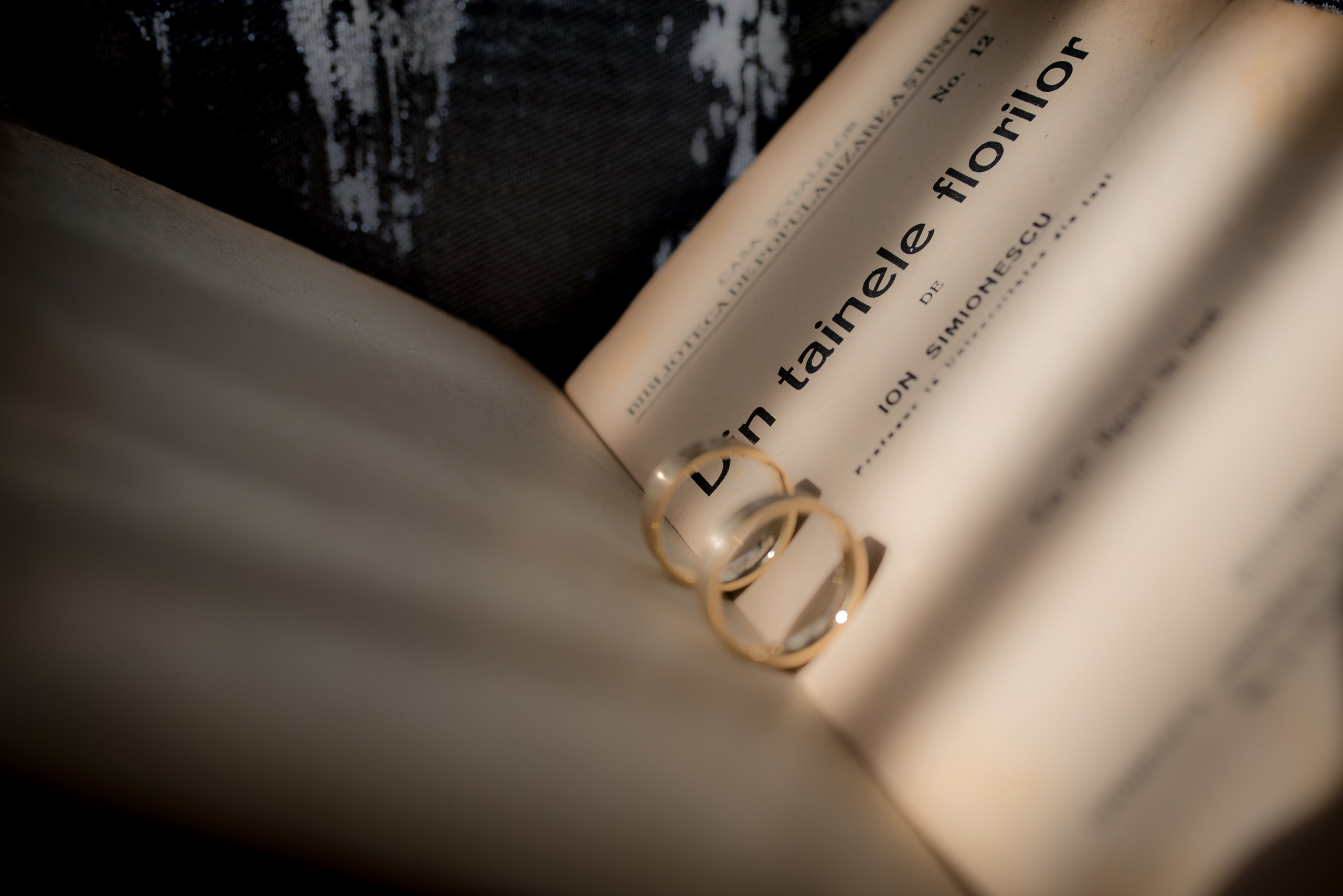 Oana si Corneliu. Daniel Criste Fotograf