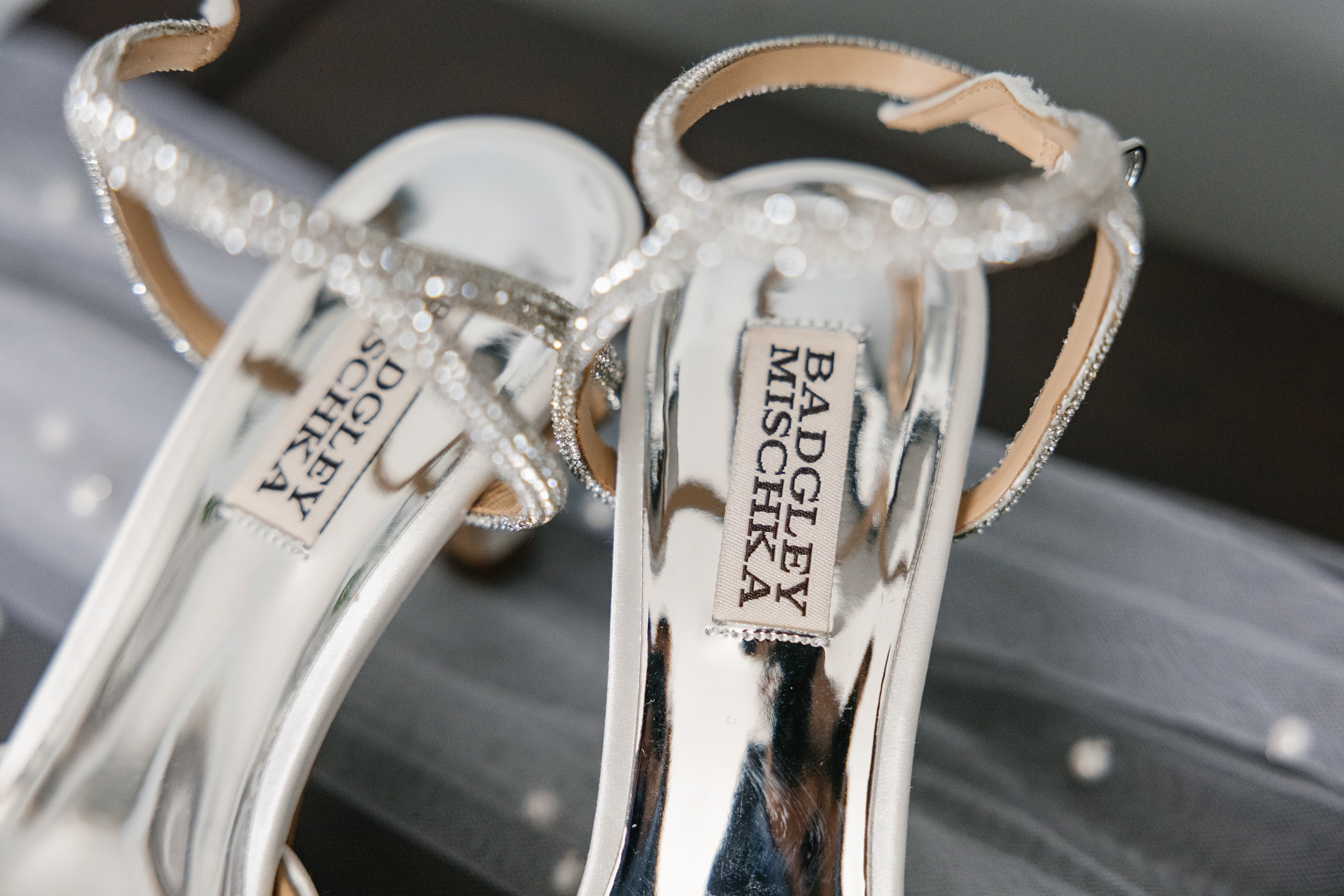 09.06.2025 Wedding. Wedding family event photographer in Chicago Nick Yushevich