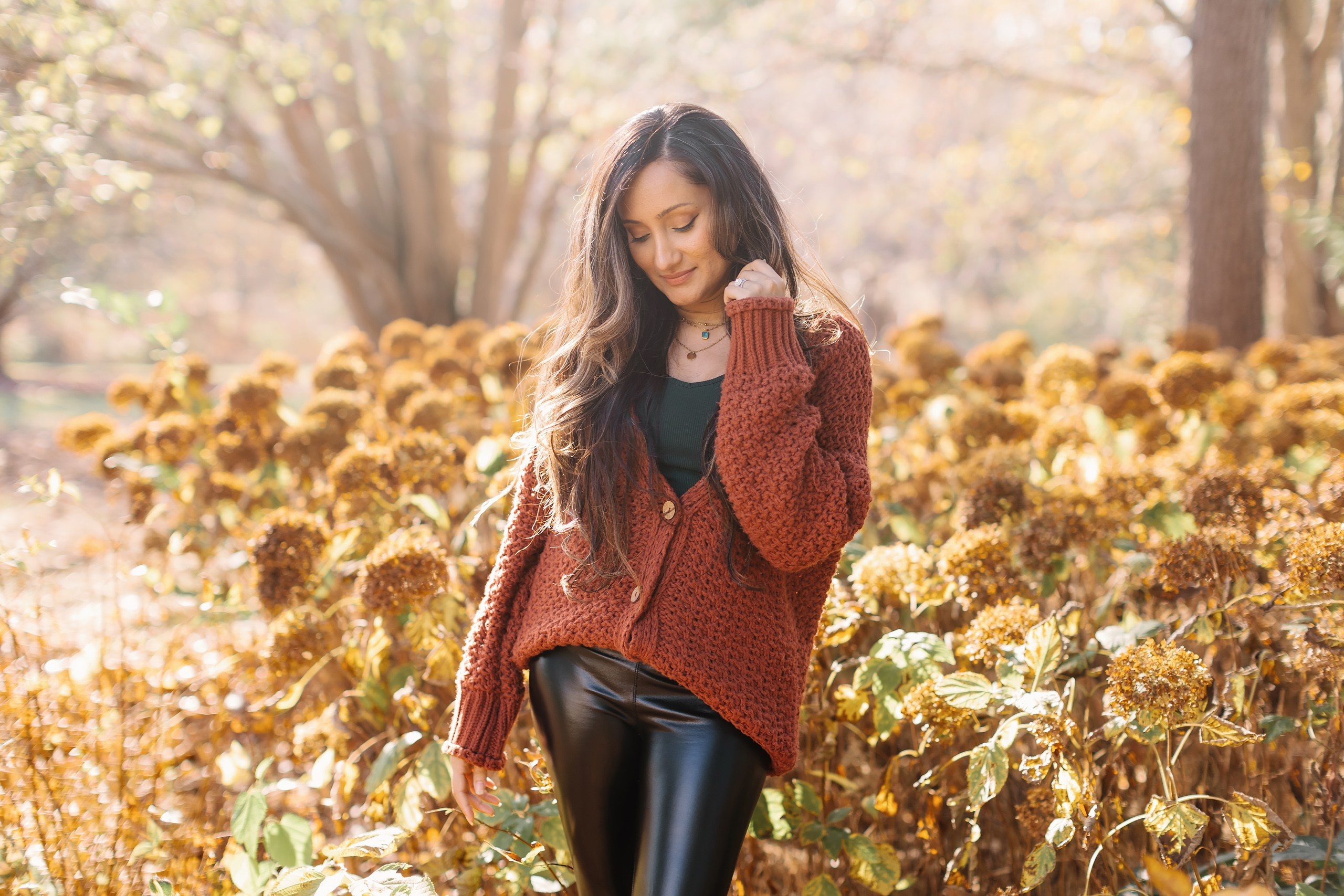 11.02.2024 Love Story. Wedding family event photographer in Chicago Nick Yushevich