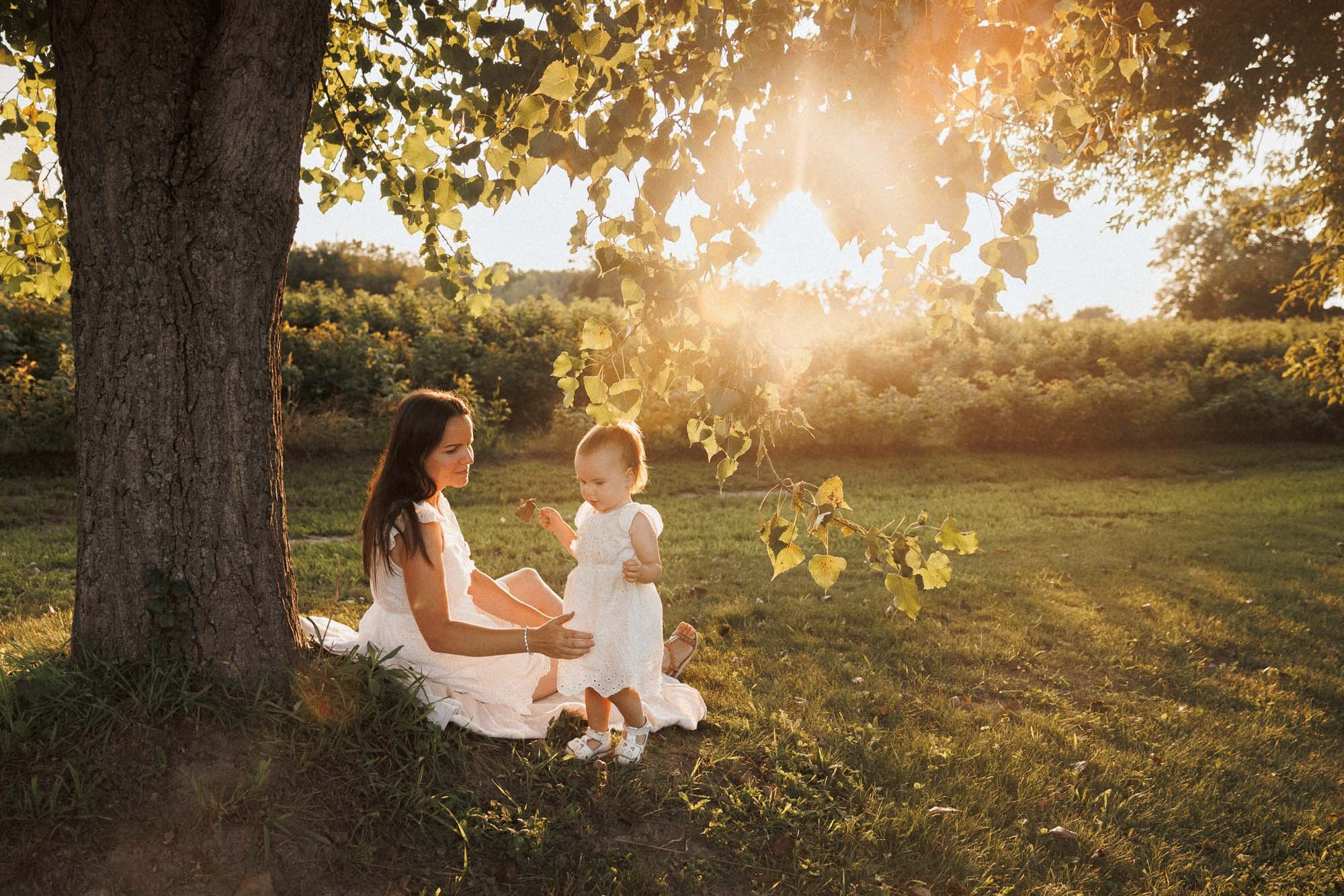 Mother and toddler sharing a quiet moment beneath a tree at sunset