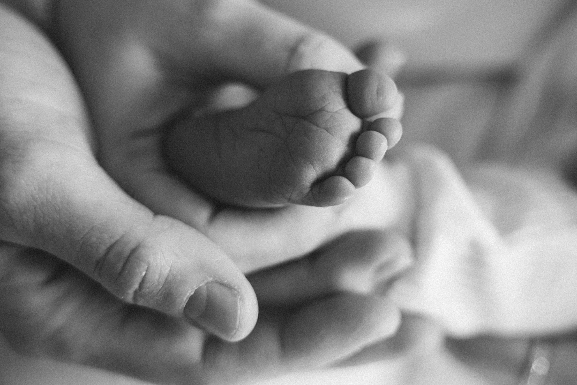 NEWBORN. Photographer Anna Gabitova