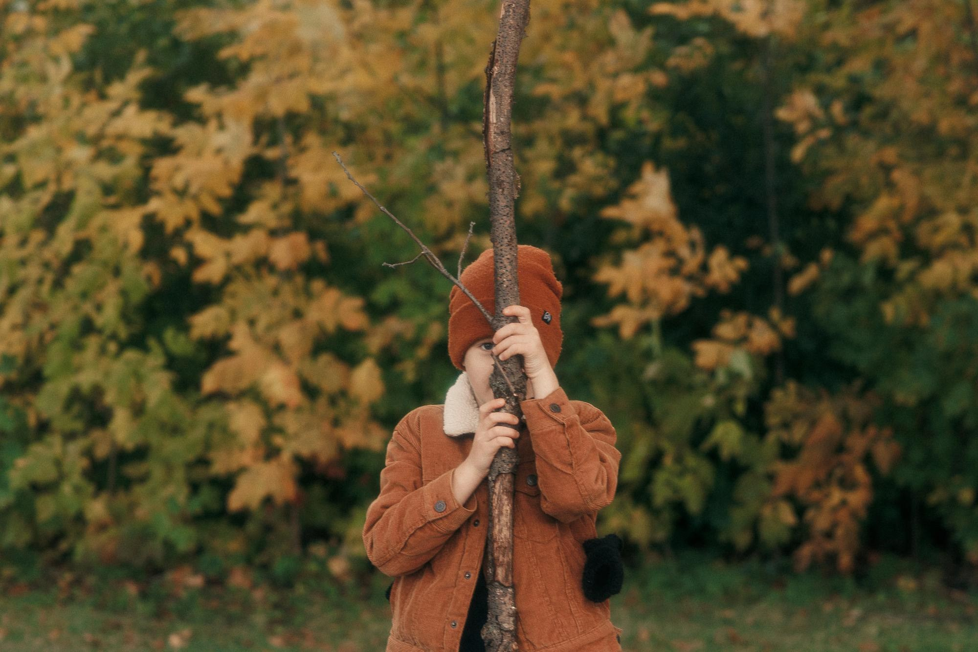 Young boy hiding behind a tree branch in an autumn park