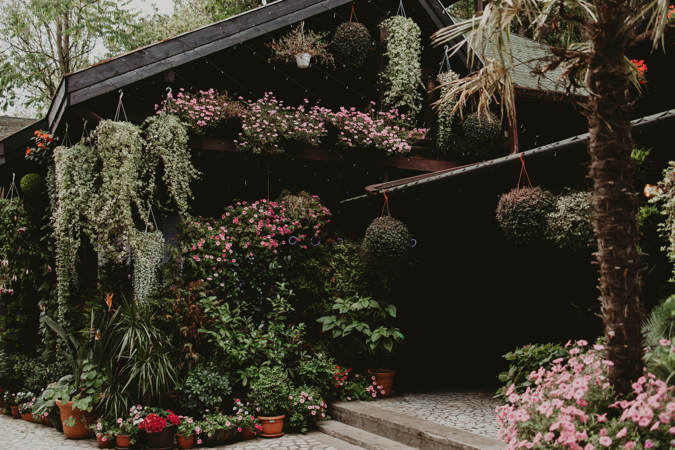 Stejara + Catalin / Wedding Day. Foto / Video nunta Deva, Hunedoara