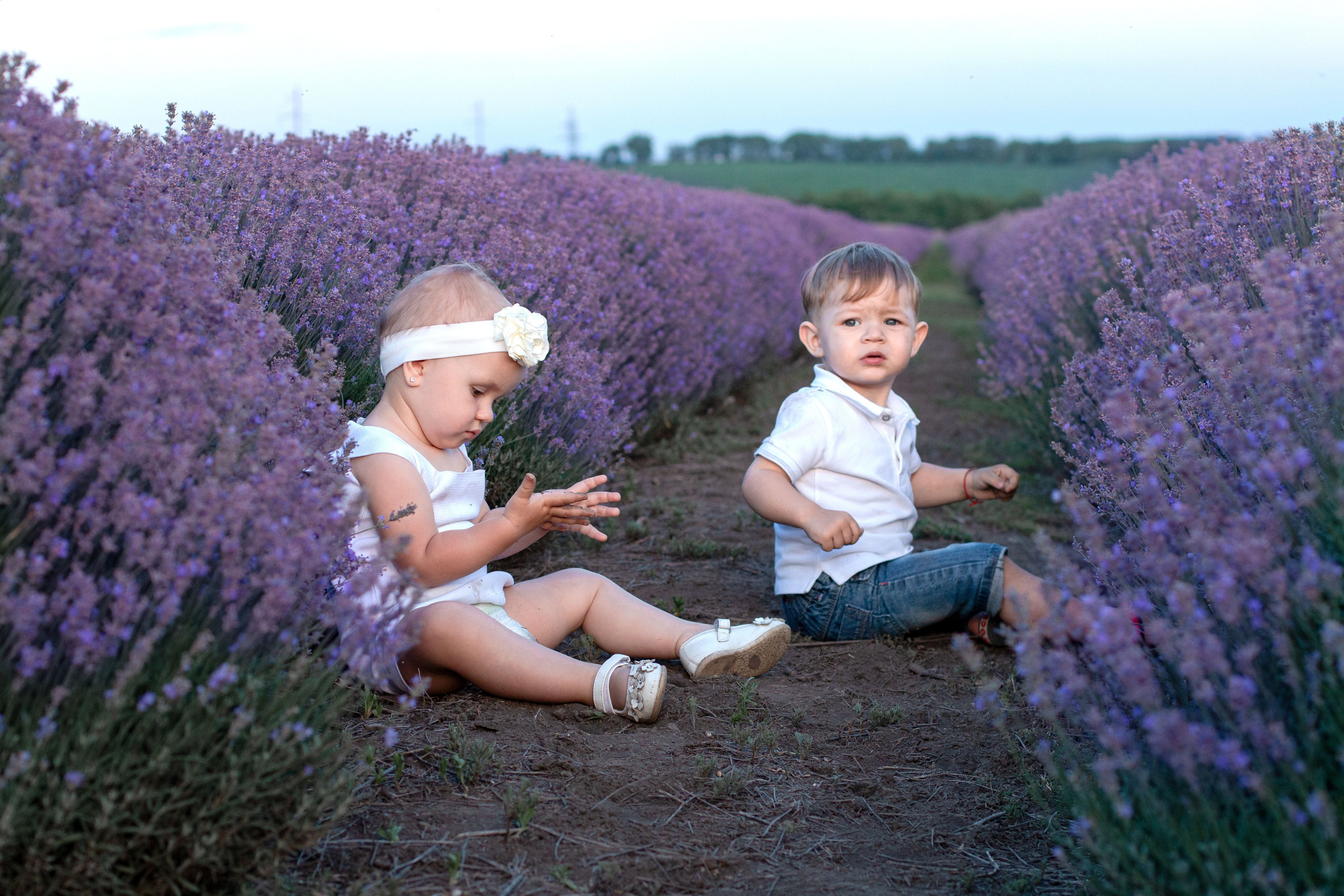 Лаванда. Детский и семейный фотограф в г. Бельцы