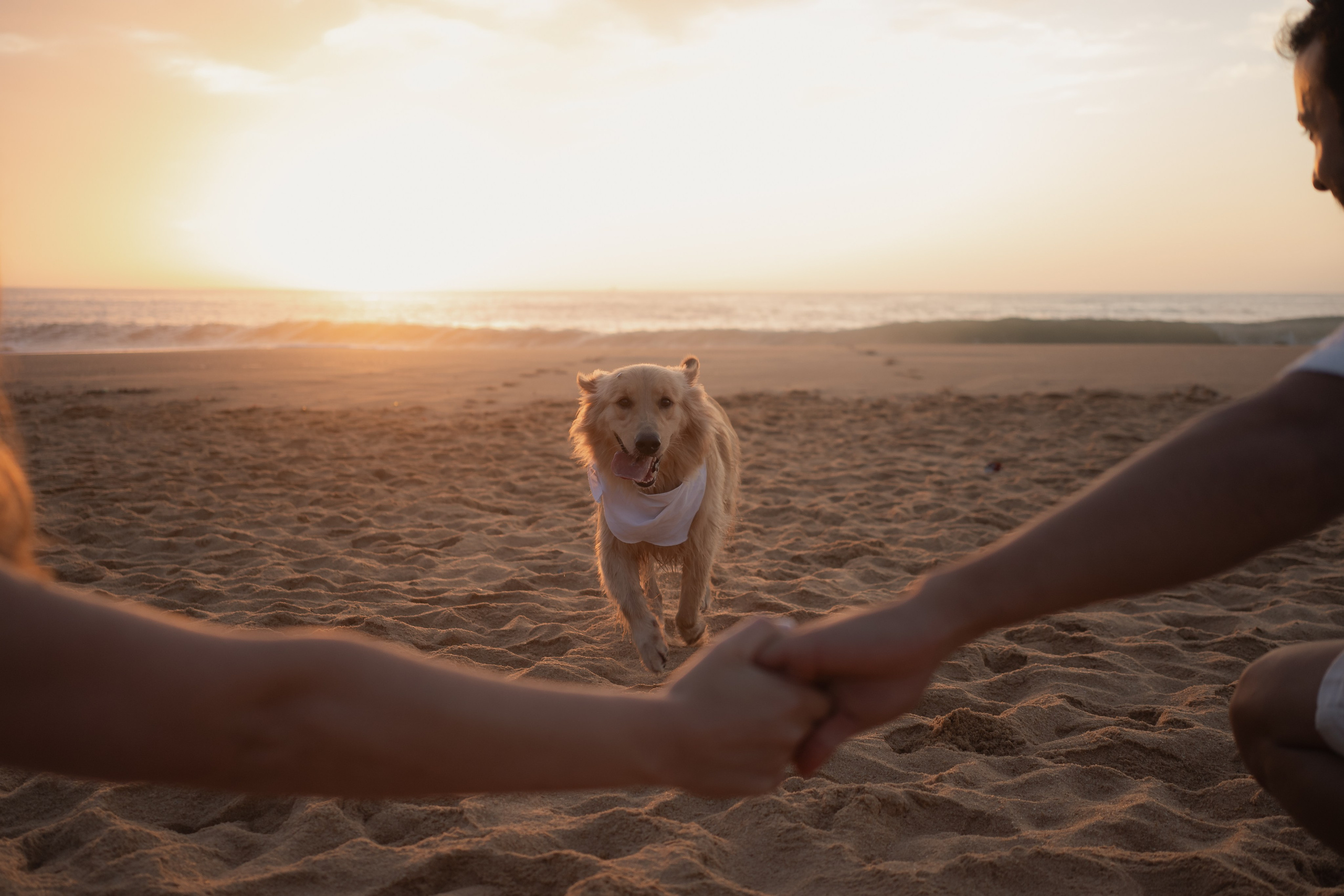 Isabella & Rodrigo | Vila Velha — ES. Lembrar não é só ver. É sentir de novo