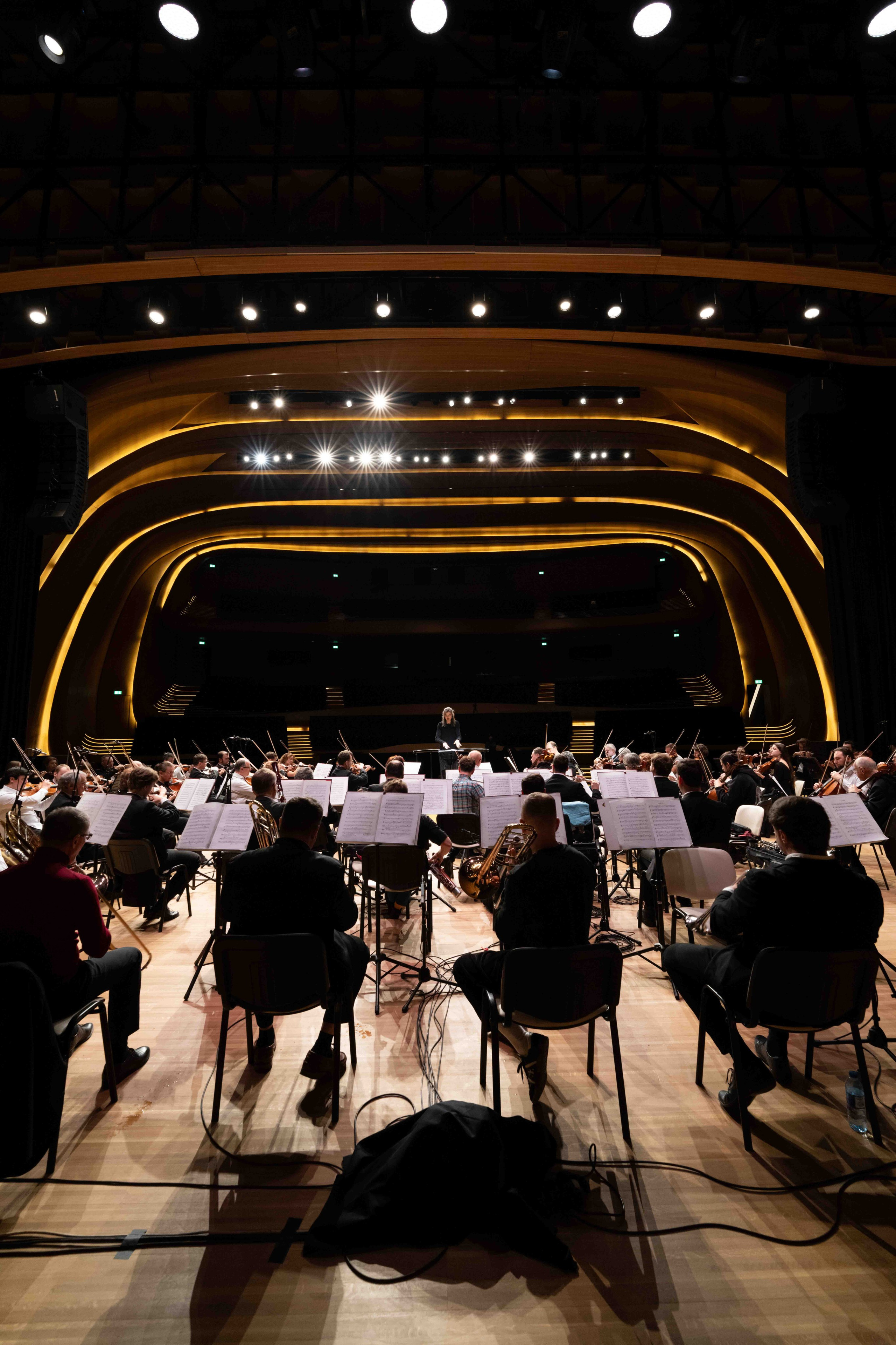 The Tchaikovsky Academic Grand Symphony Orchestra in Baku. Wedding&Event photographer Ismail Rzayev in Baku