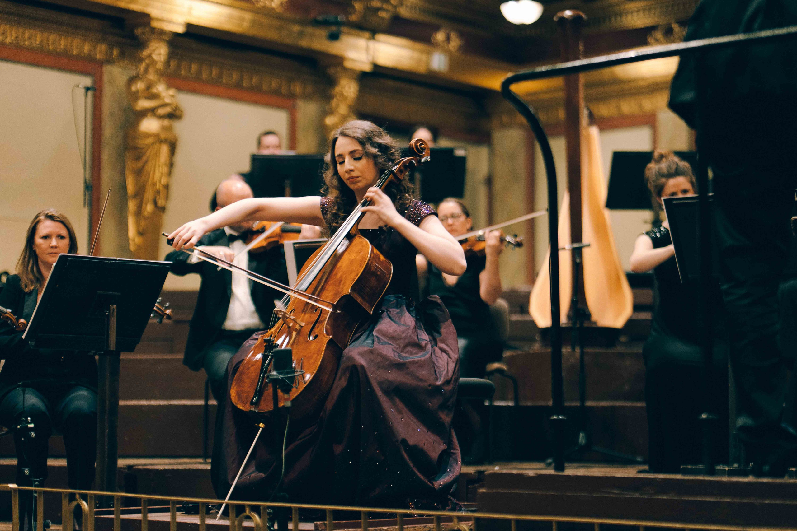 MUSIKVEREIN (VIENNA). Wedding&Event photographer Ismail Rzayev in Baku