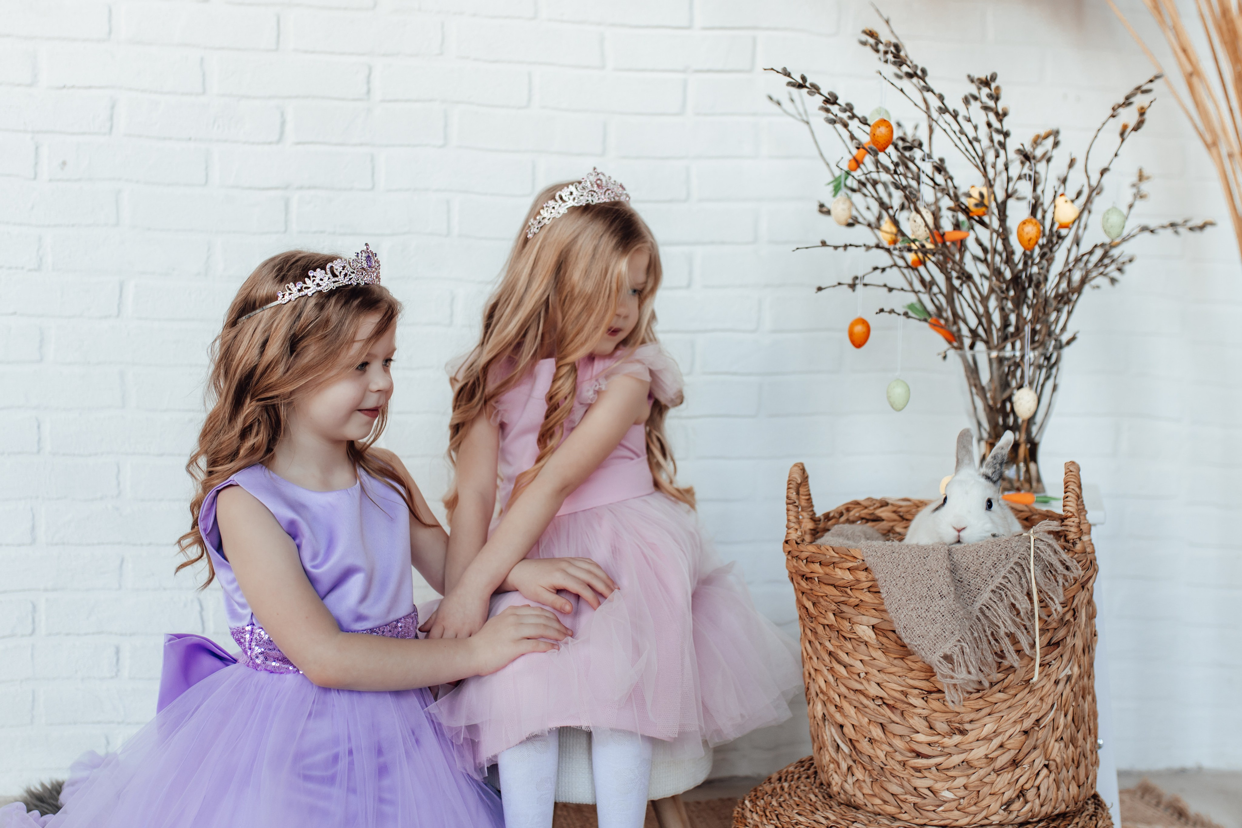 Zaķīši un kaķīši