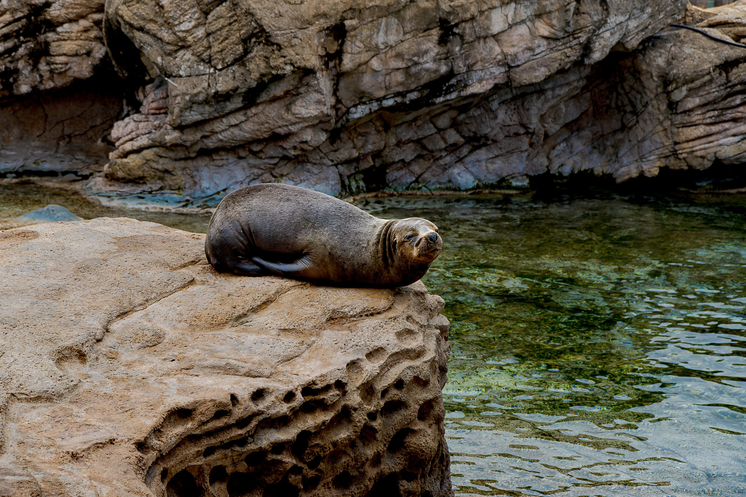 Африка вокруг нас
