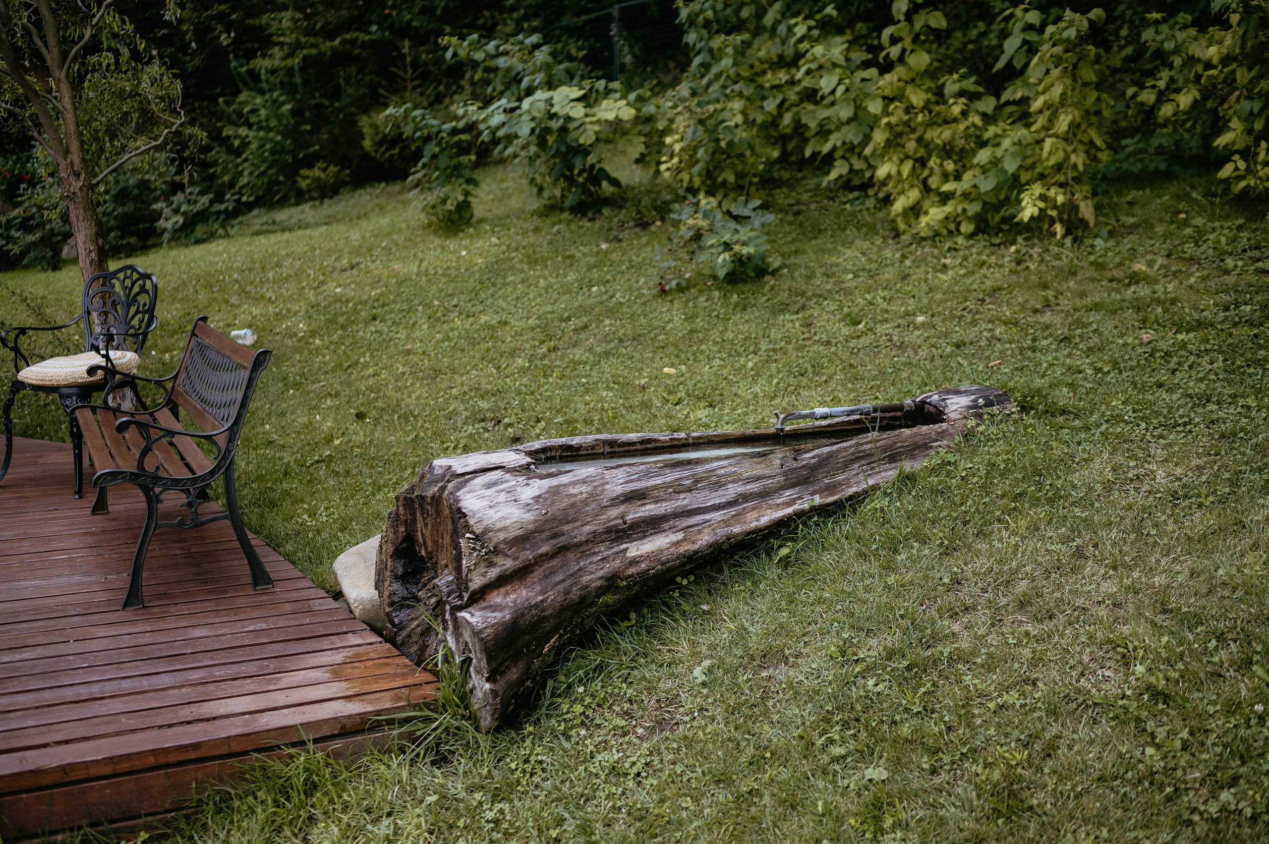 Flavio si Sarona. Valentin Melen — wedding photographer