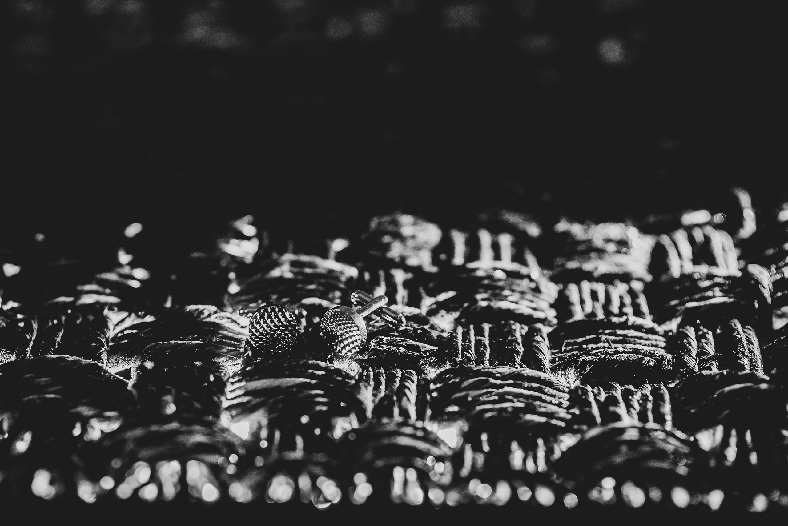 Oana & Catalin. Giani Maftei