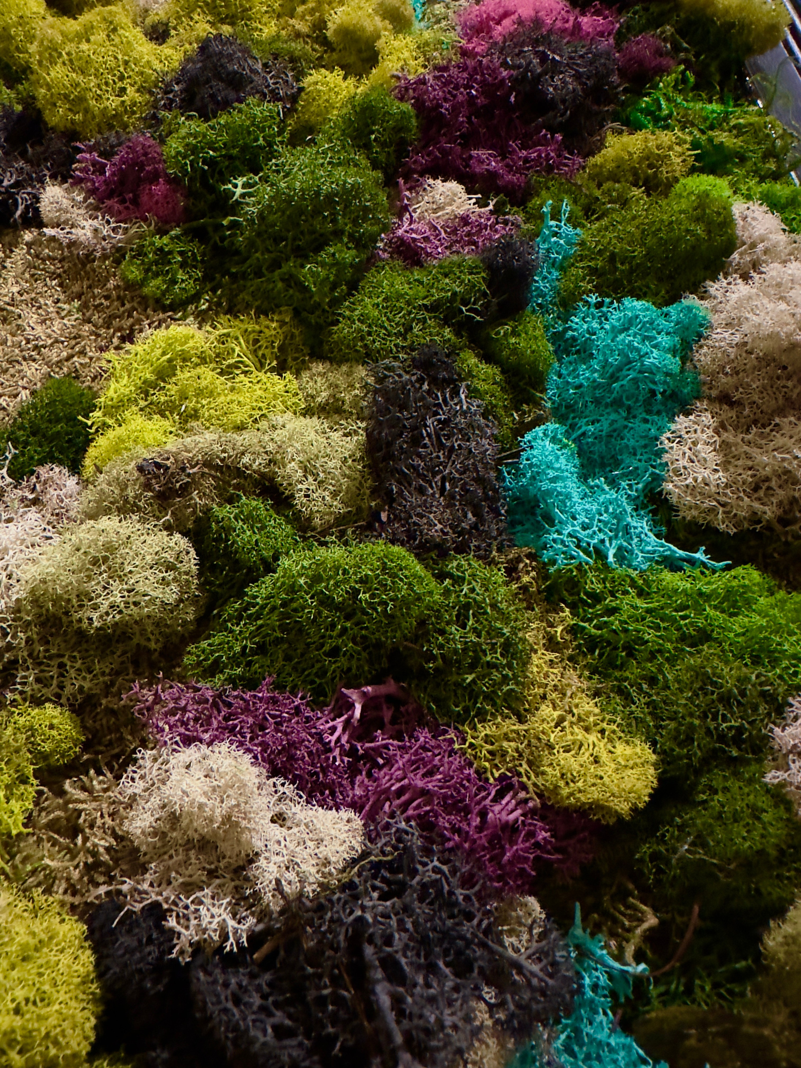 Anna & Moss magic, Content. Yana Bobrova | Artistic Photography