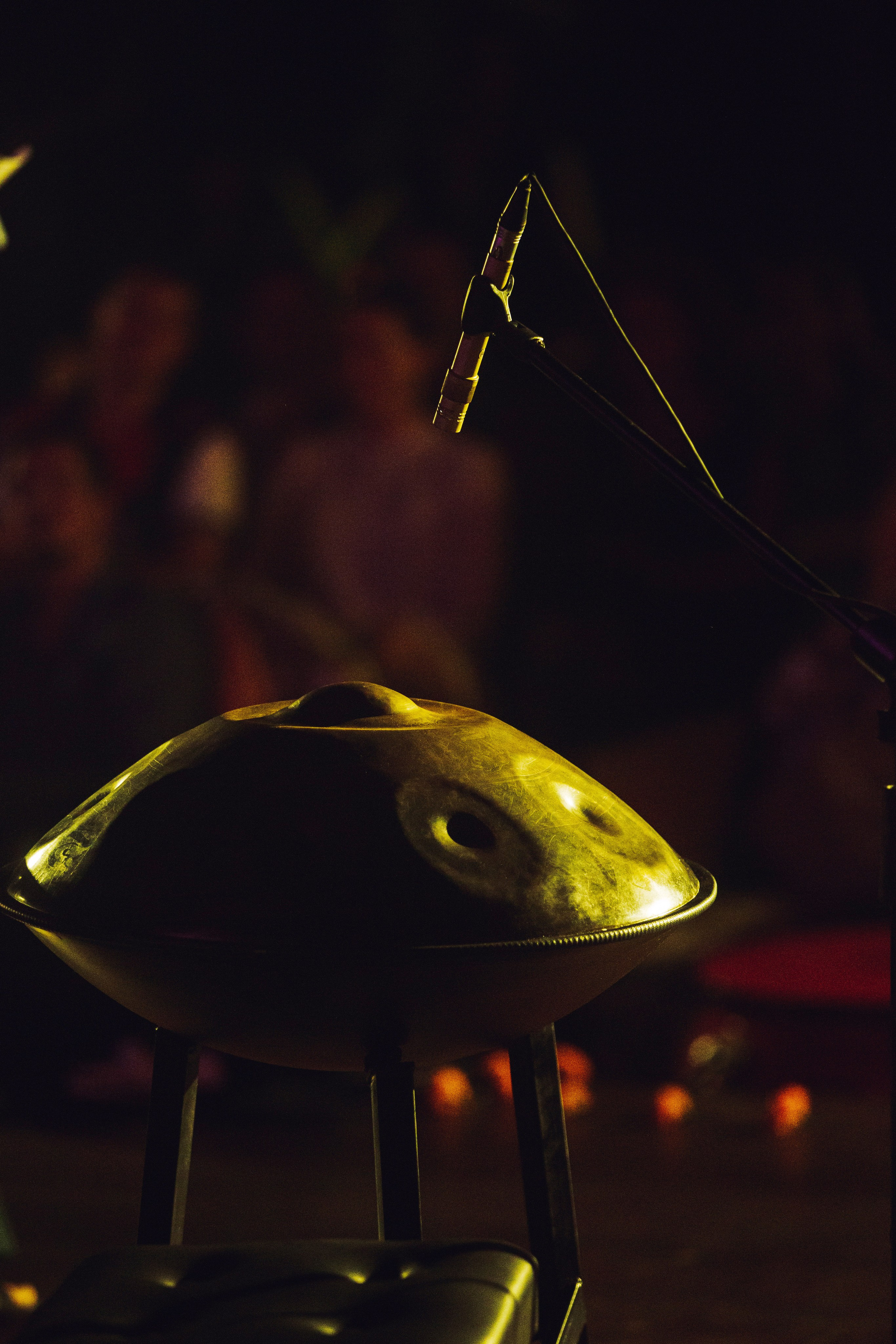 Съёмка концертов. Индивидуальный и парный фотограф на Бали — Bali Dream Photo