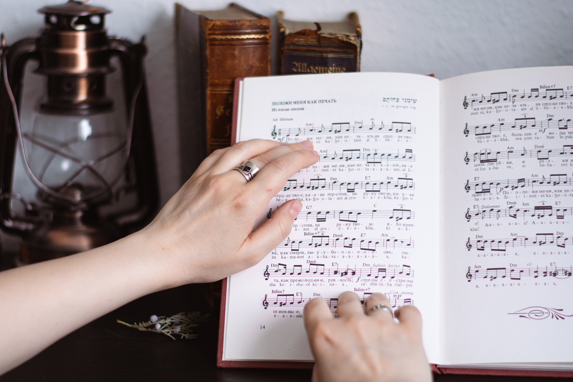 Schmuck von Urusquenta. Свадебный, семейный и портретный фотограф в Дрездене | Ольга Гантман