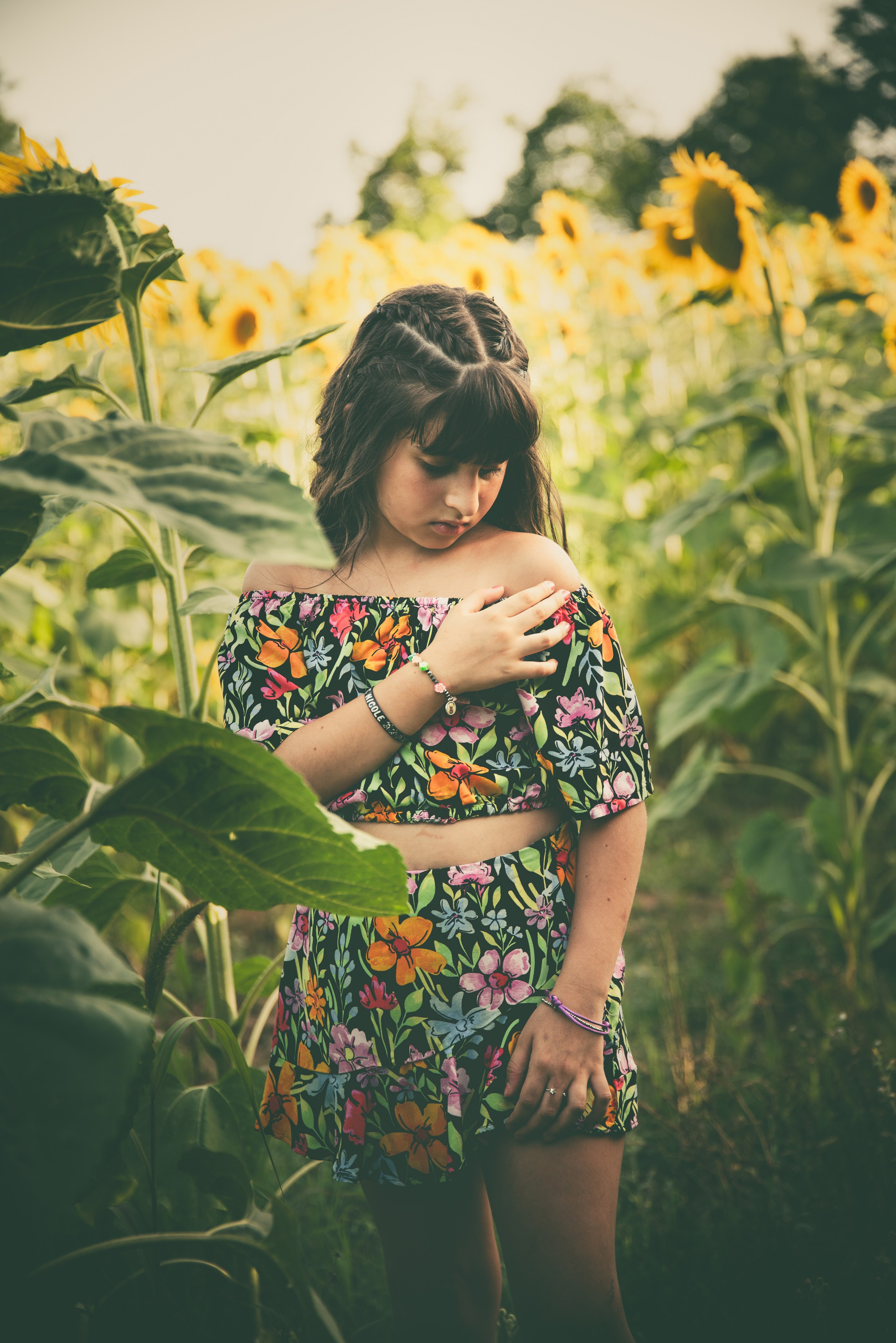 Campo di Girasole. Fotografo di famiglia