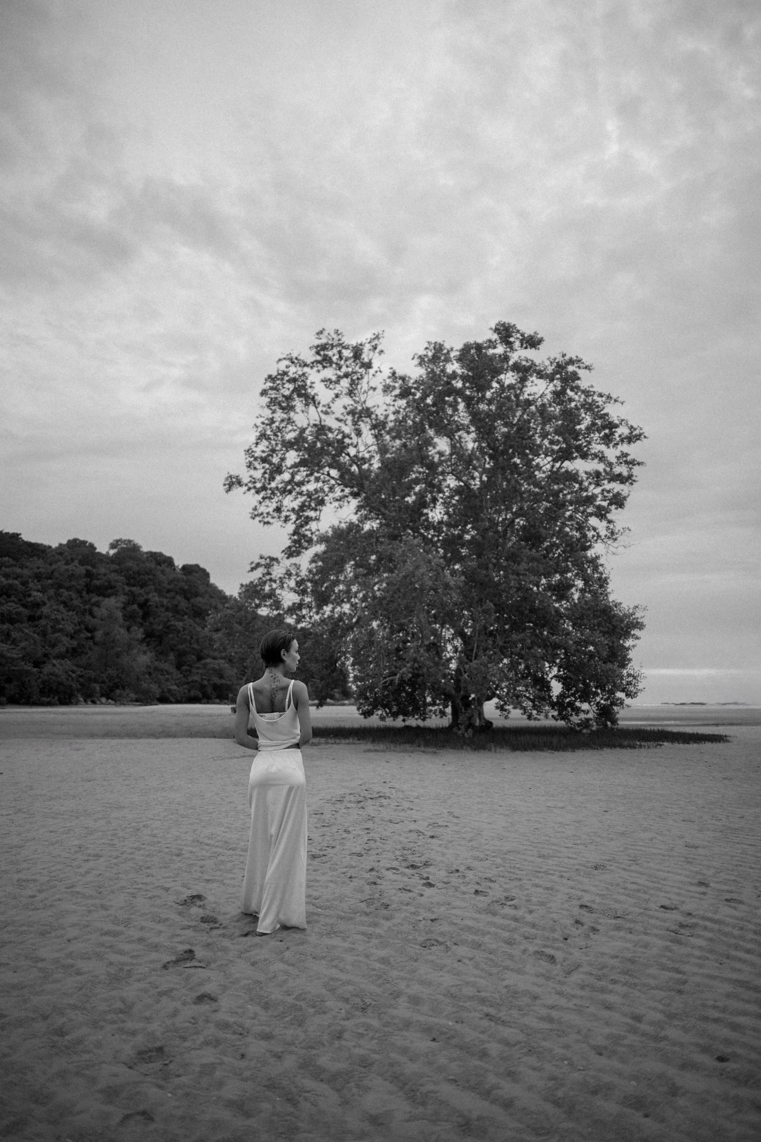 Тати. Услуги