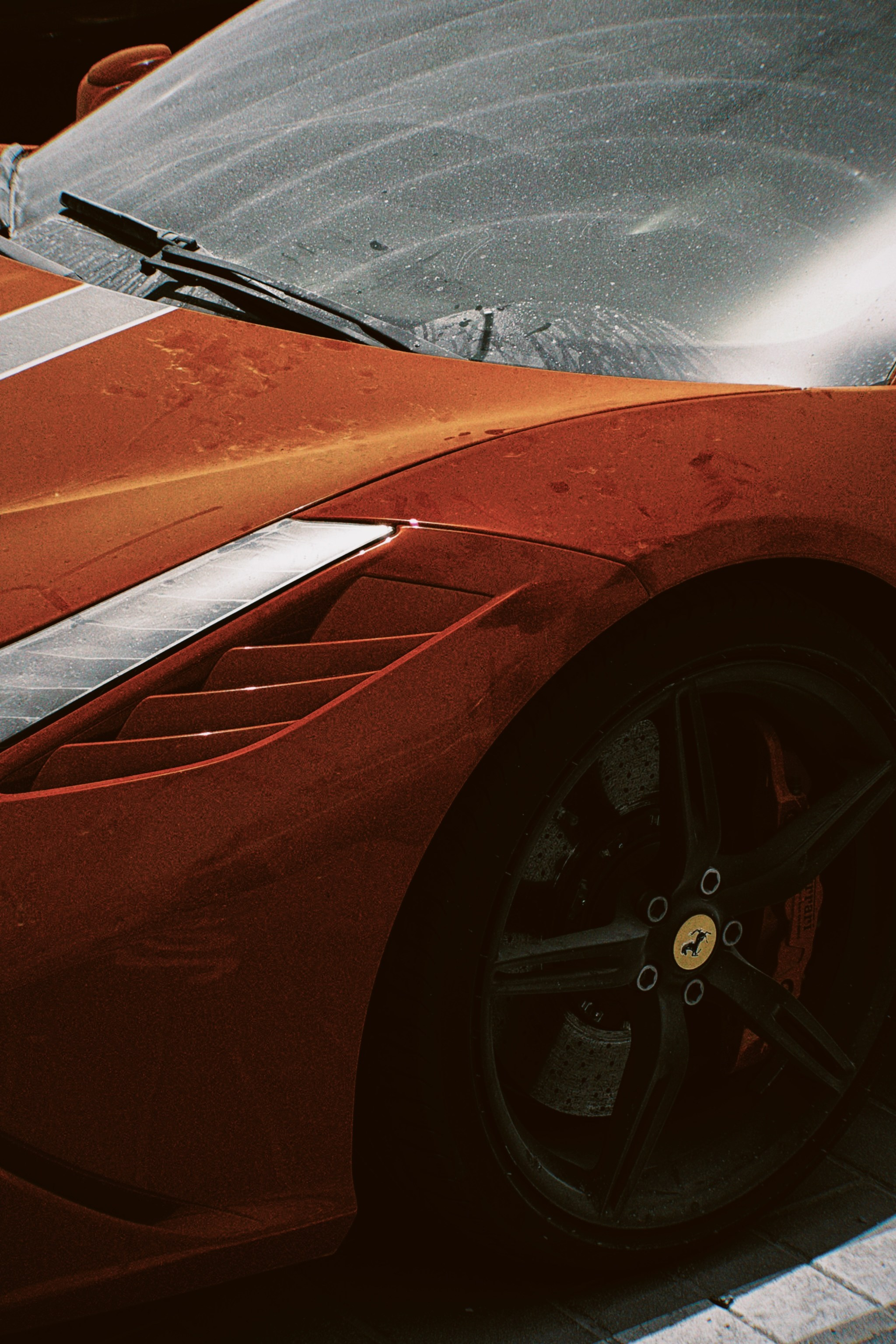 Auto. Julia Erina photographer Dubai