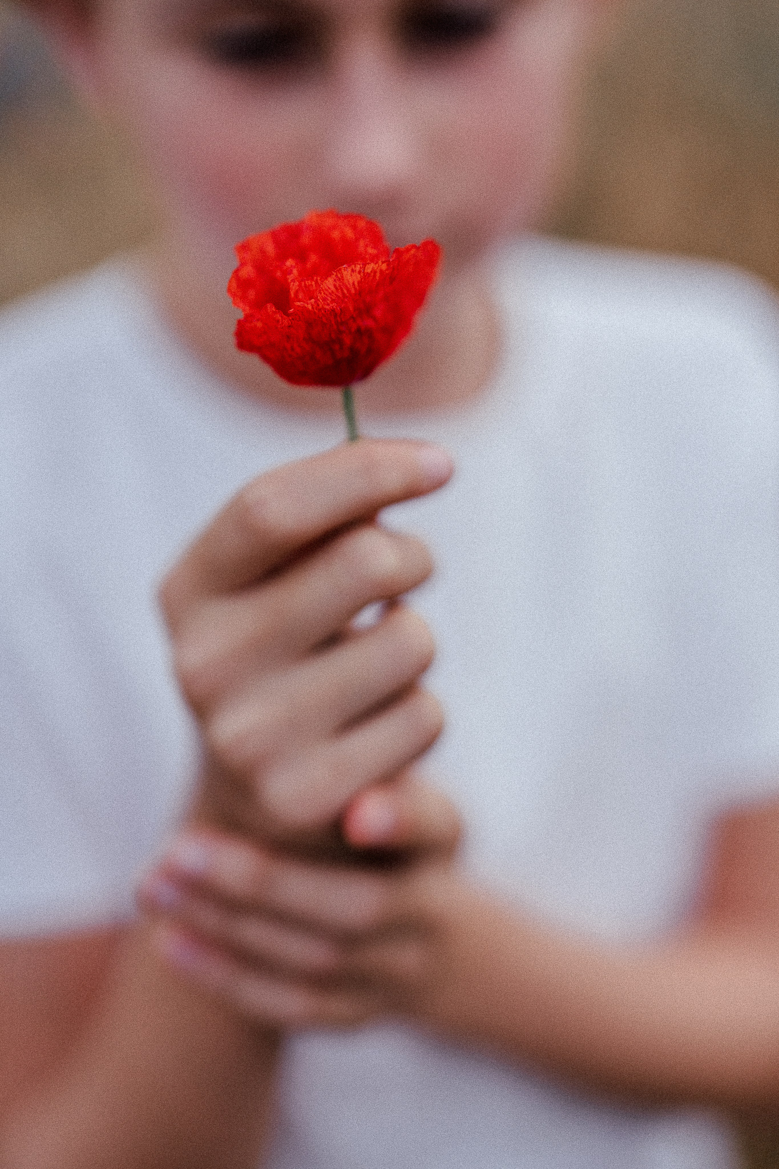Poppy flowers. Familien, Portrait und Konzeptualfotografie in Genf, Schweiz