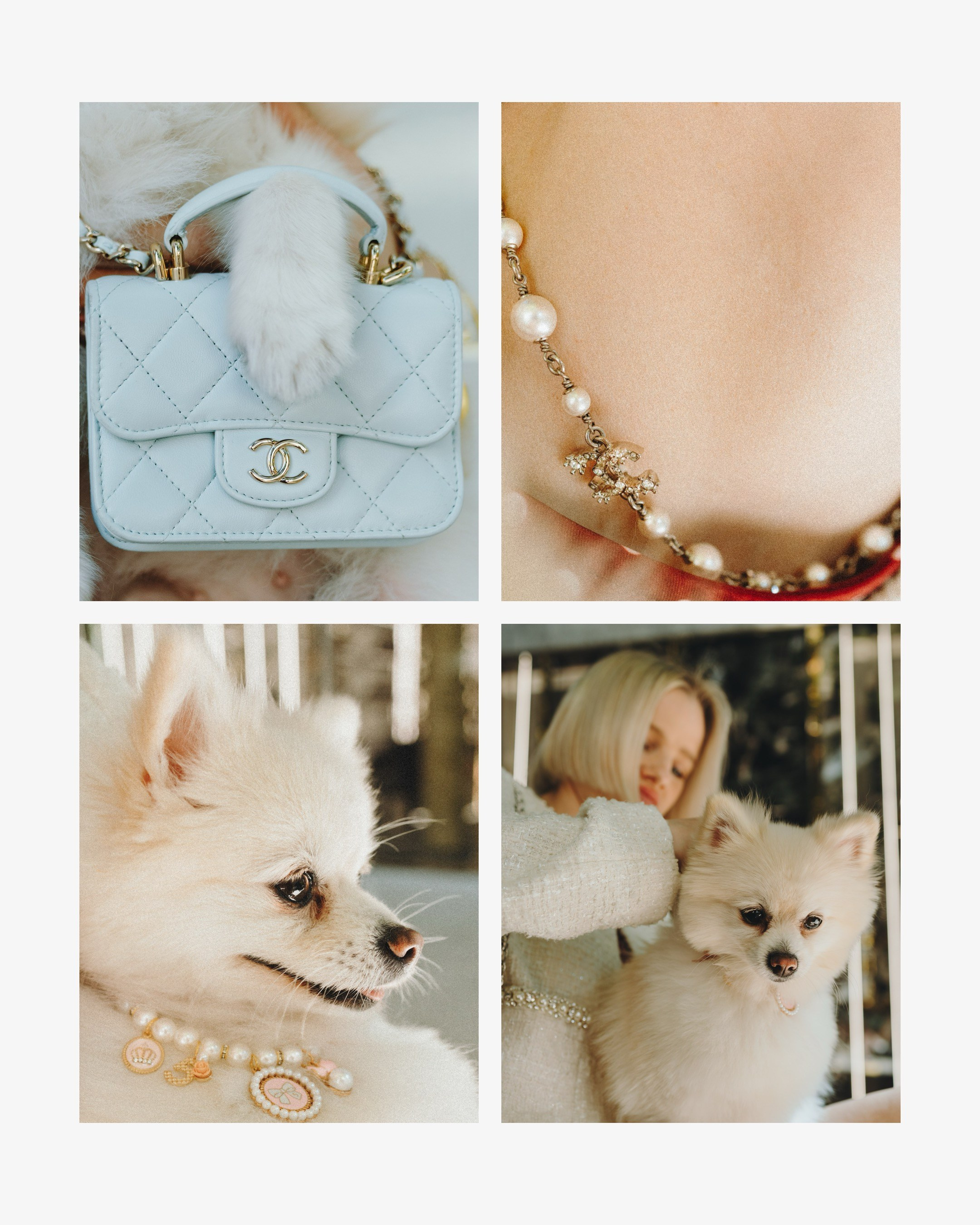 Lexy & Tatiana. Pet Photographer Viktoriya Aleshenko