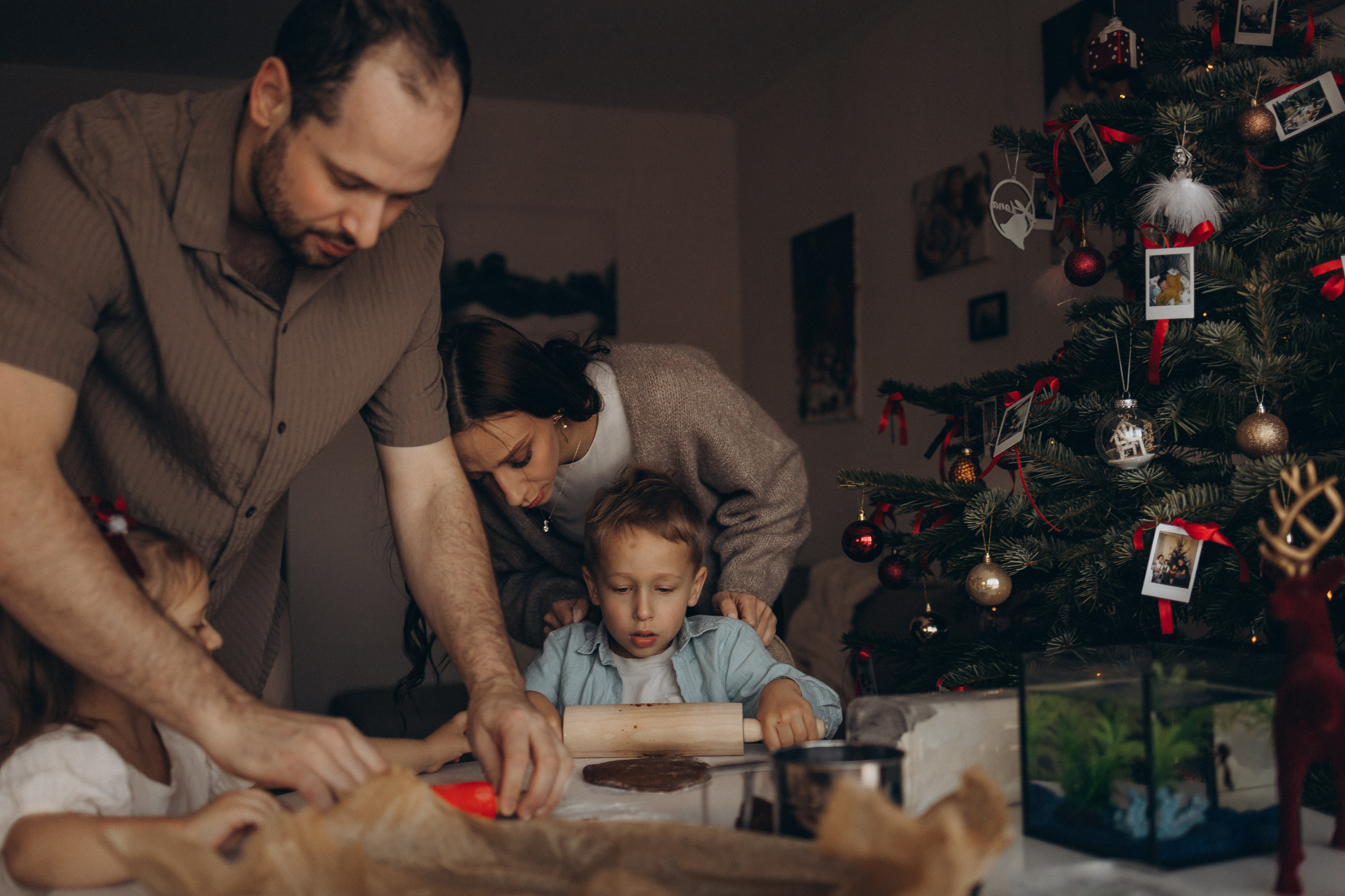 LANAS ģimene. GALVENĀ