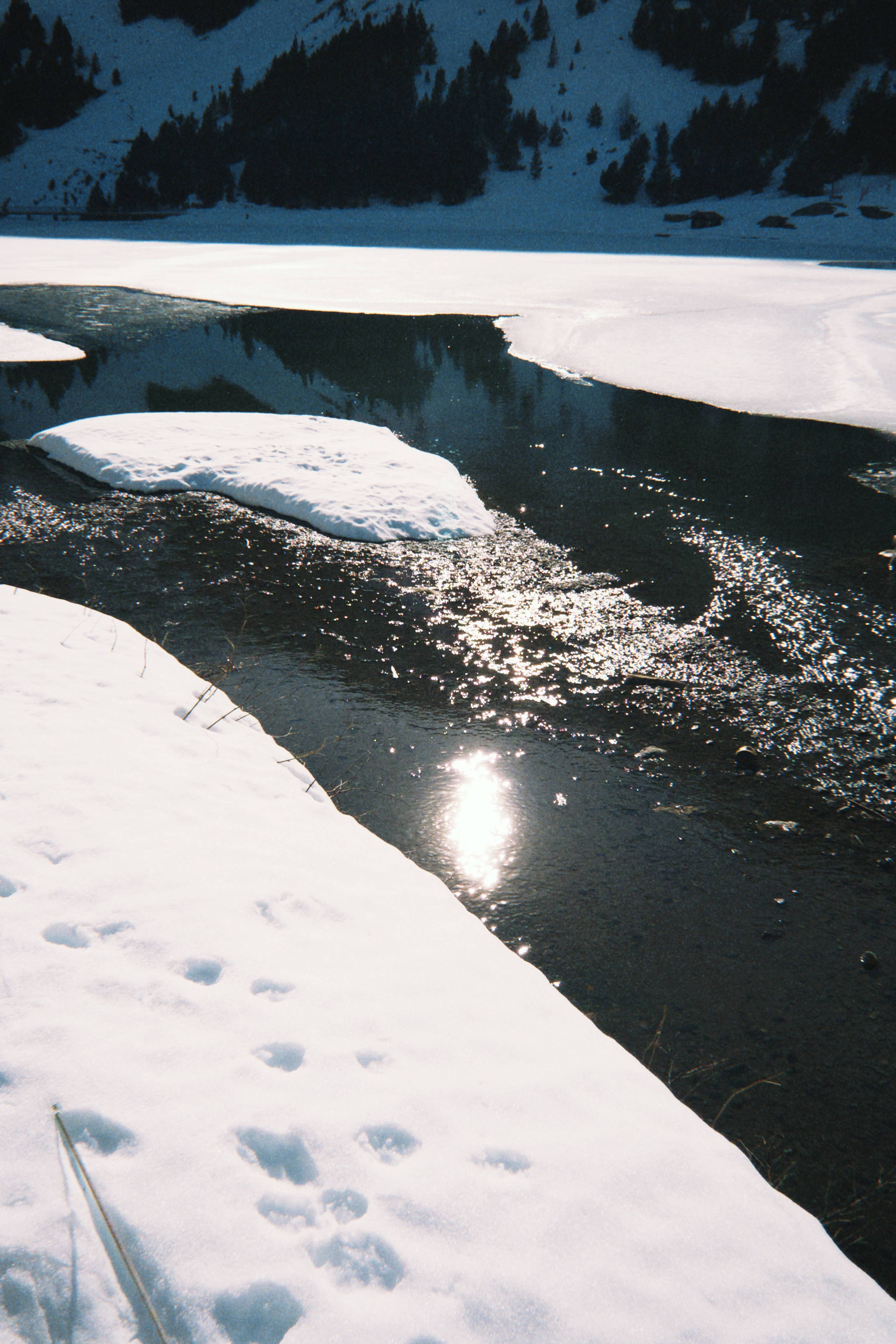 TRIP TO THE MOUNTAINS. Marina Kálcheva – Photographer & Visual Artist in Barcelona