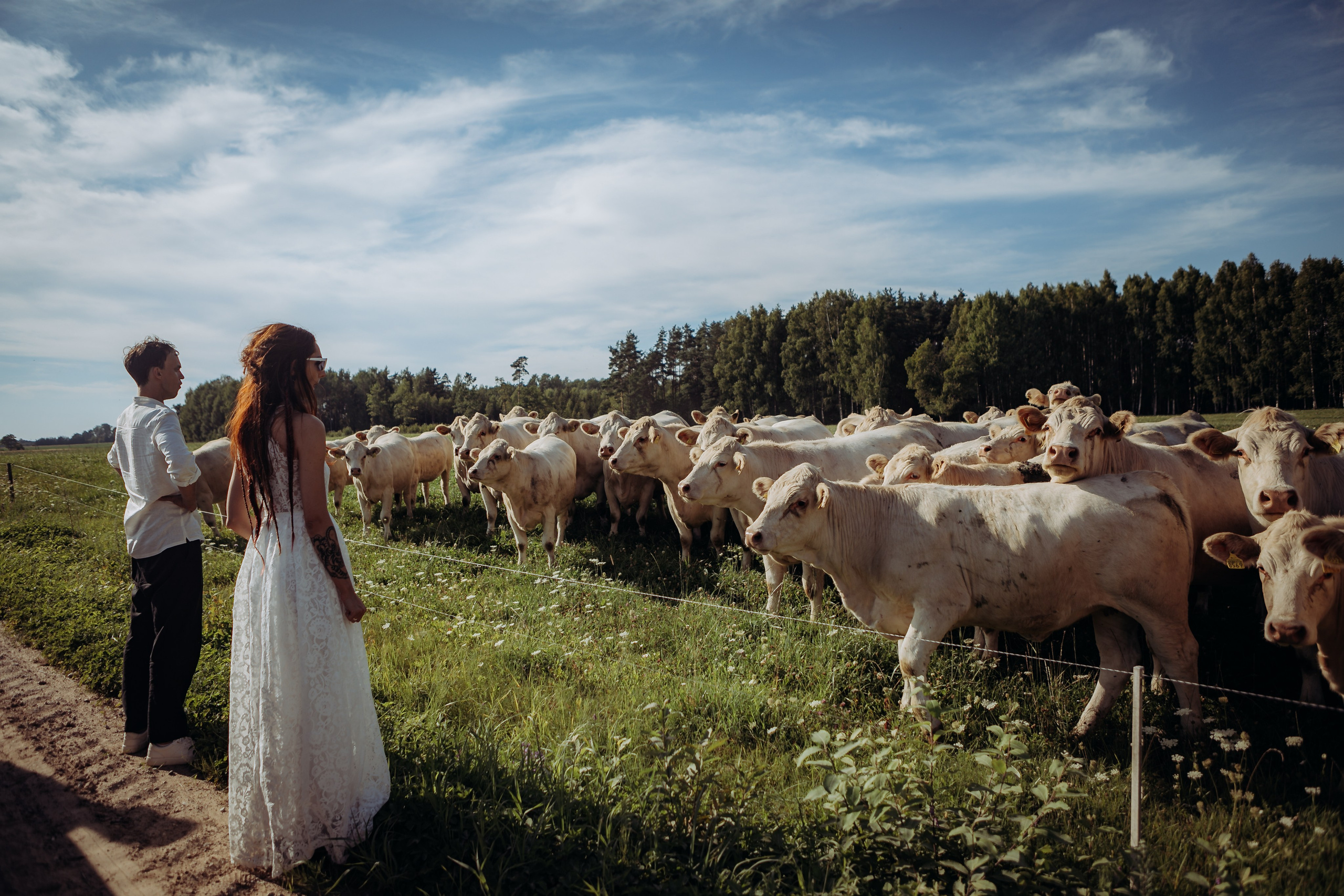Wedding ceremony Agnese &Aleksandrs. Sandra Garanca Portrait and event photographer