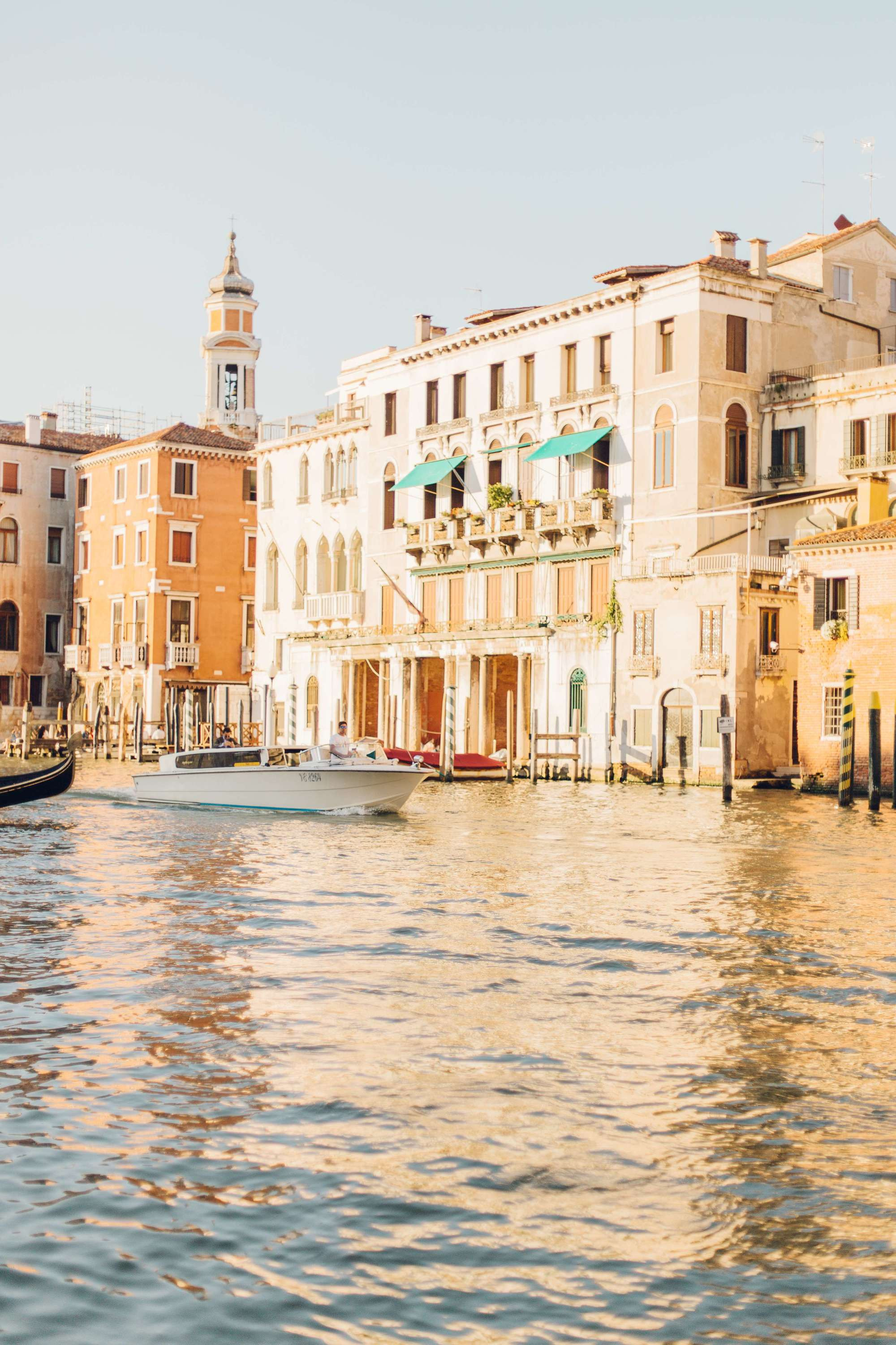 Ksenia y Gleb. Fotógrafa familiar Santiago y Chile Anna Almazova