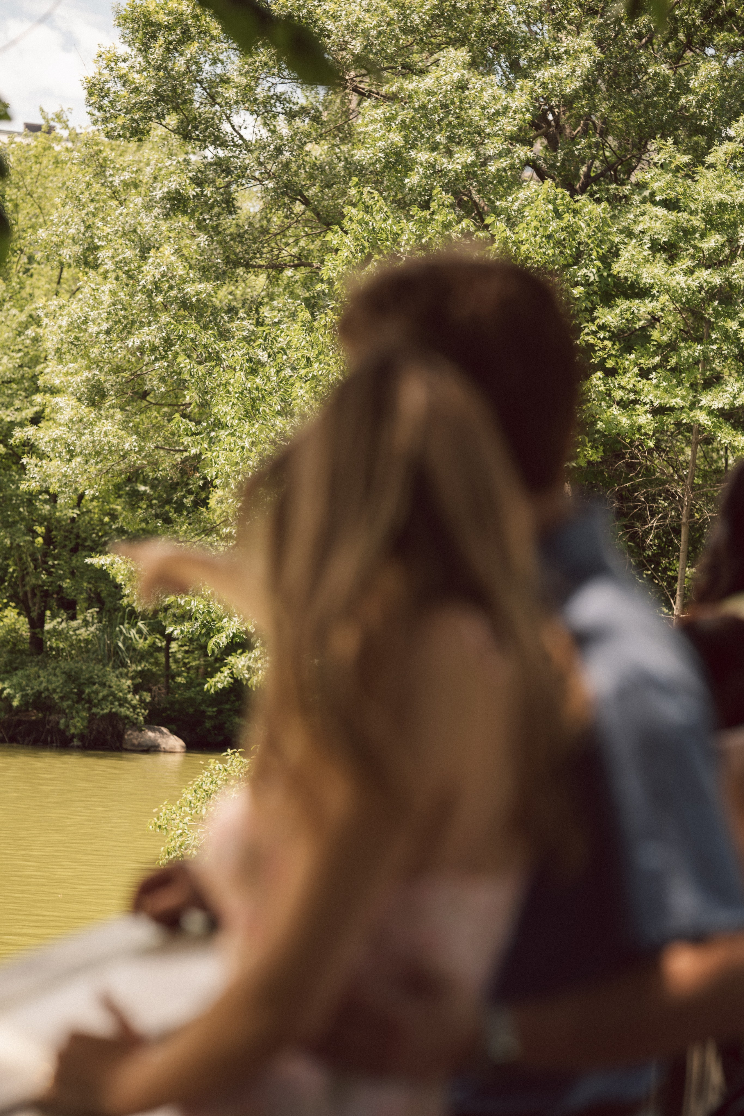 Surprise proposal Central Park. New York + destination photographer